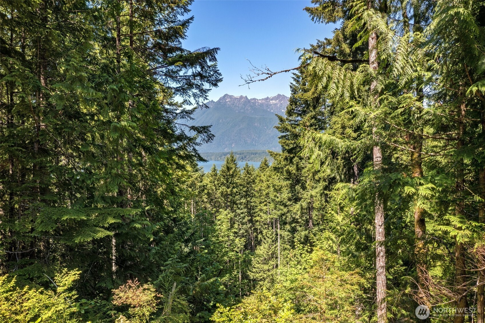 5154 N Lake Cushman Road Property Photo 14