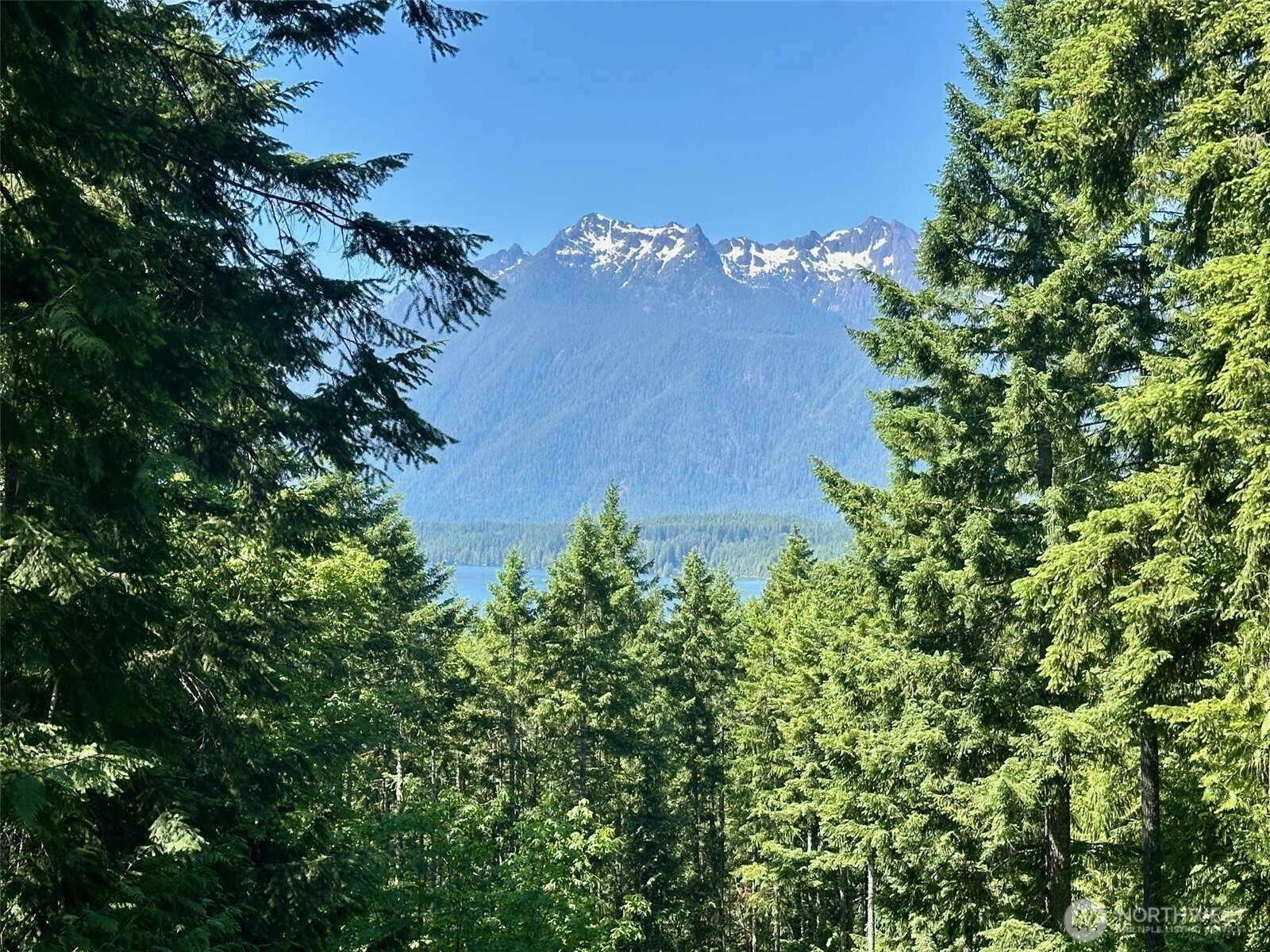 5154 N Lake Cushman Road Property Photo 15