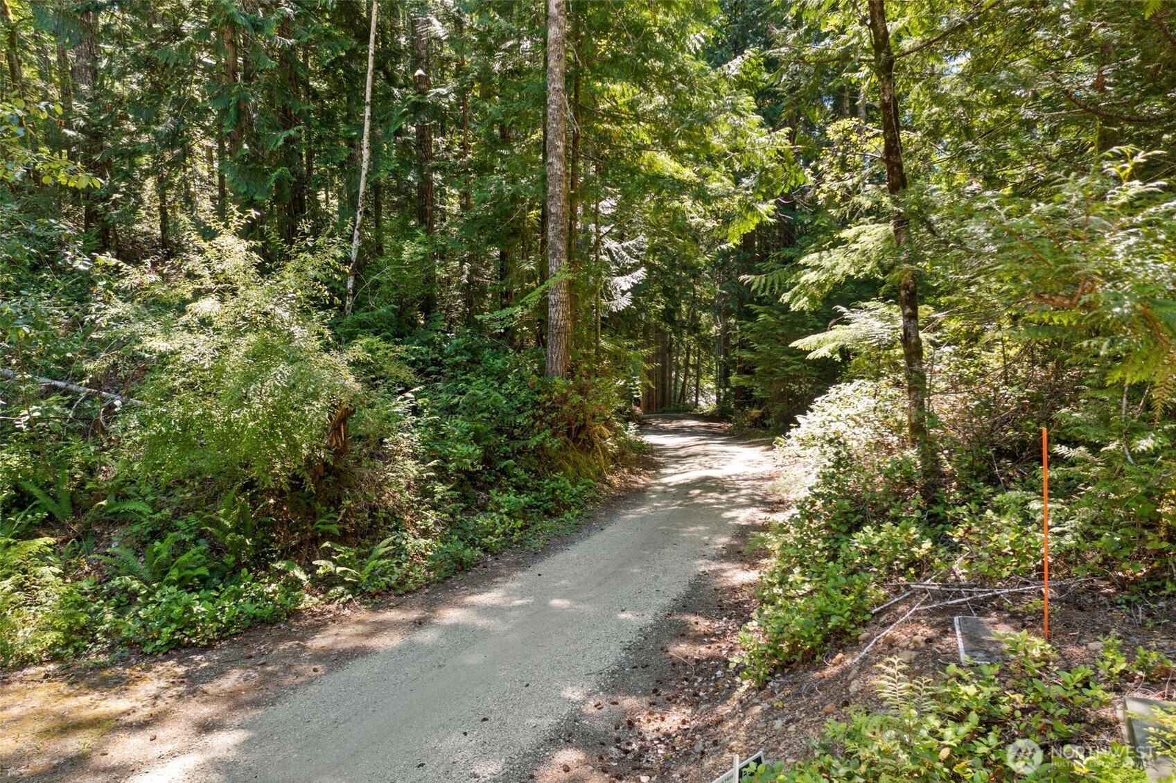5154 N Lake Cushman Road Property Photo 23