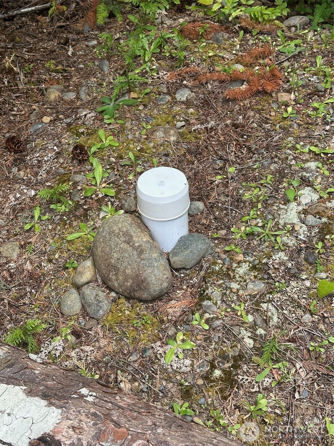 5154 N Lake Cushman Road Property Photo 27
