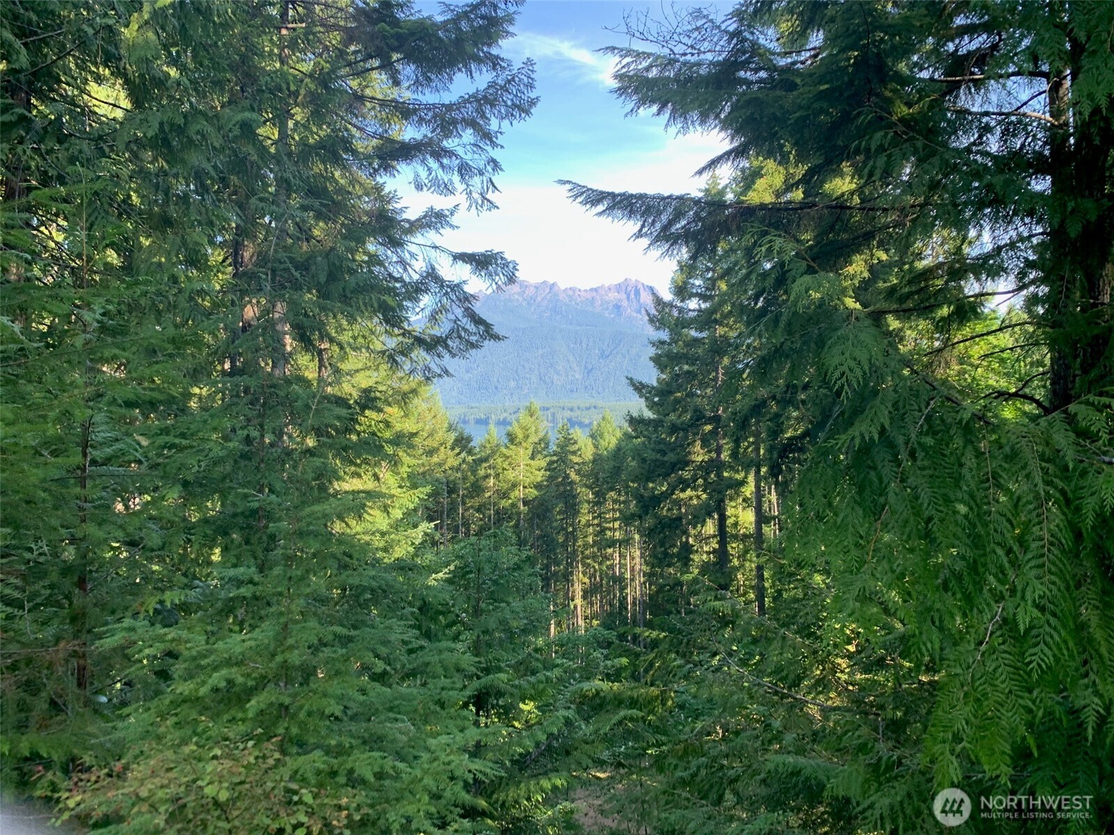 5154 N Lake Cushman Road Property Photo 29