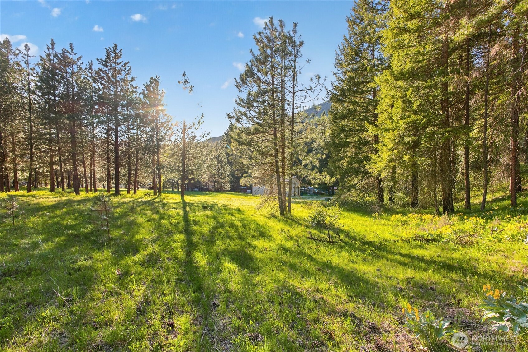 15906 River Road Property Photo 3