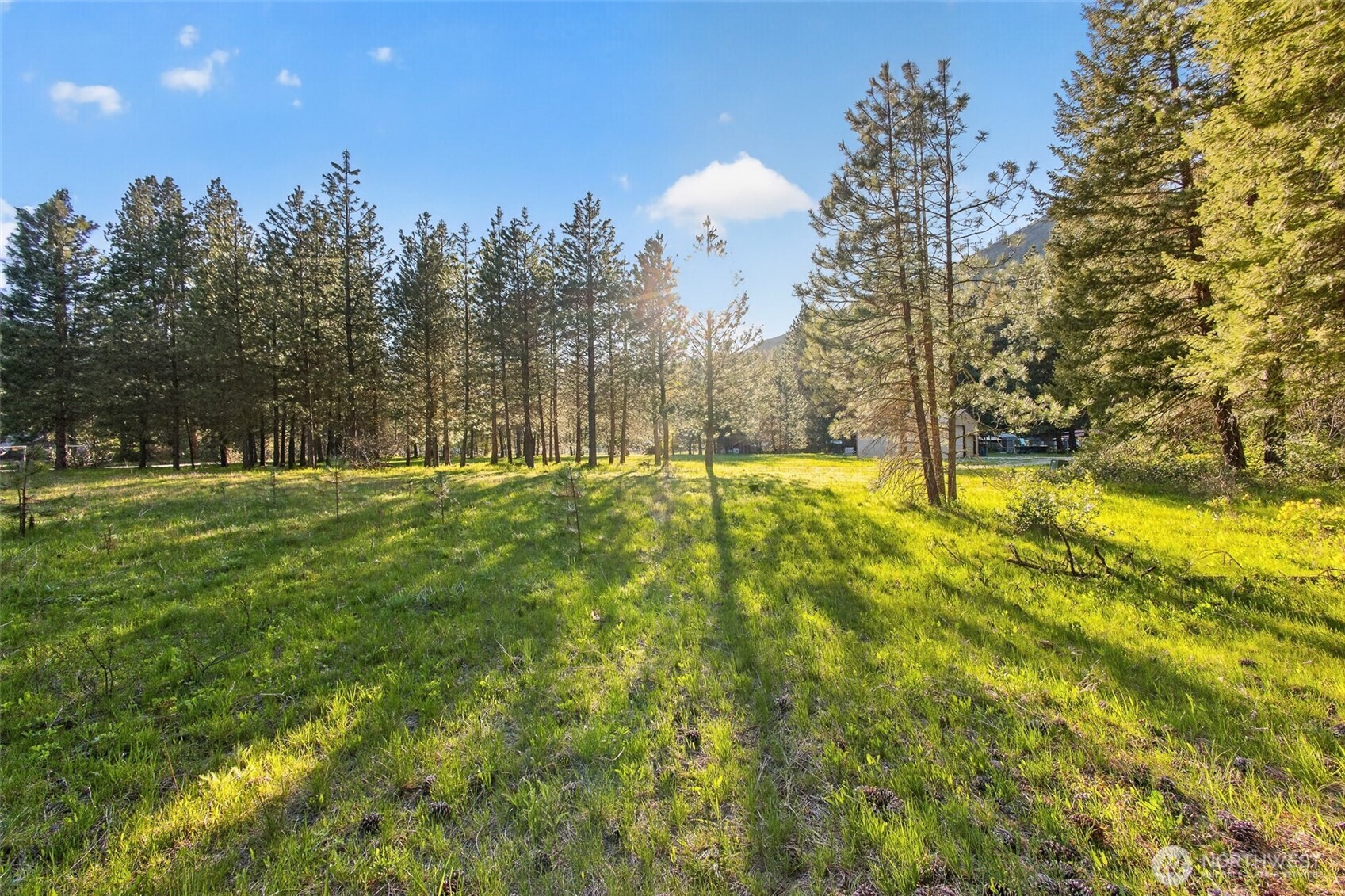 15906 River Road Property Photo 4