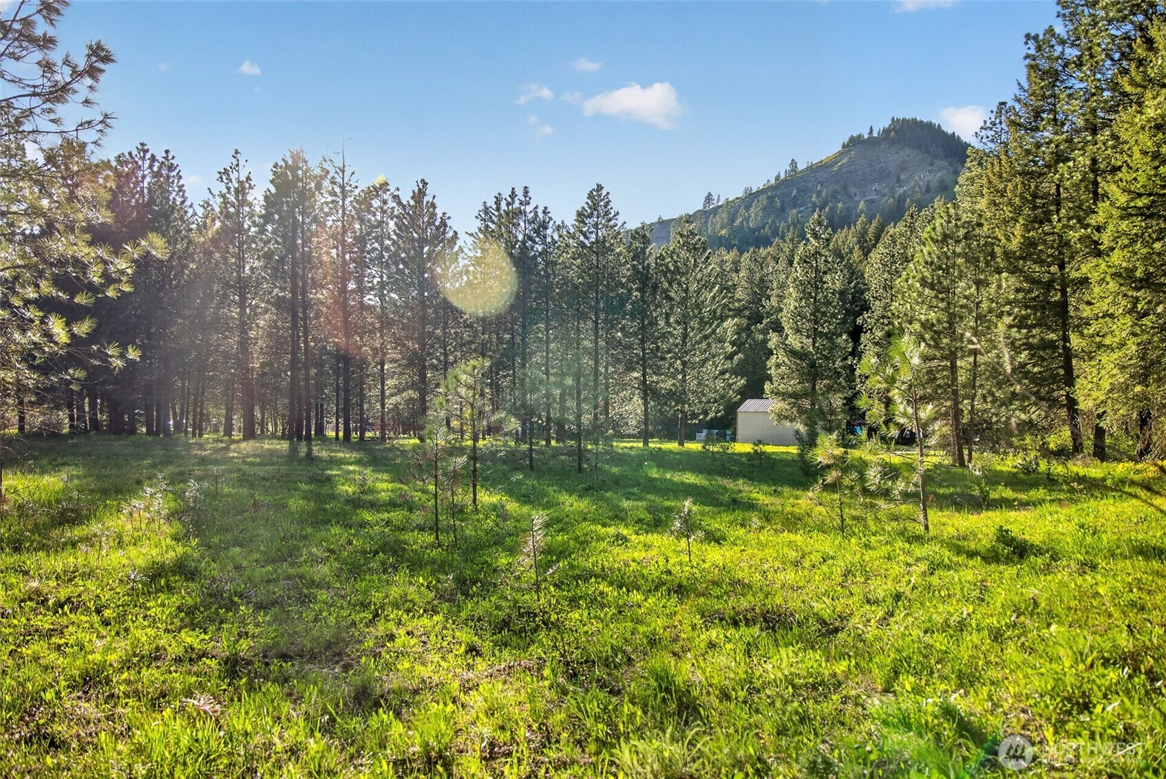 15906 River Road Property Photo 5
