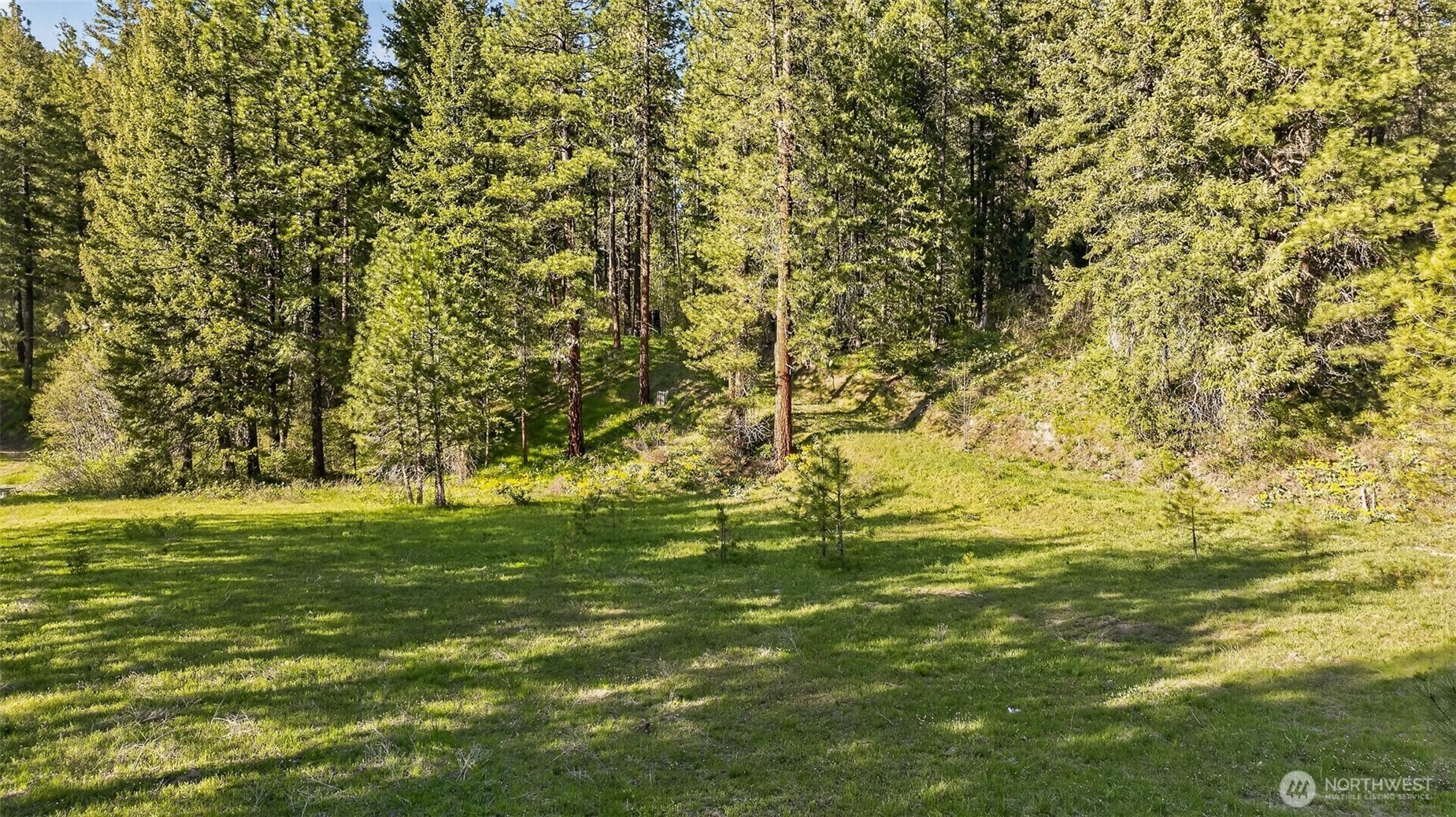 15906 River Road Property Photo 6