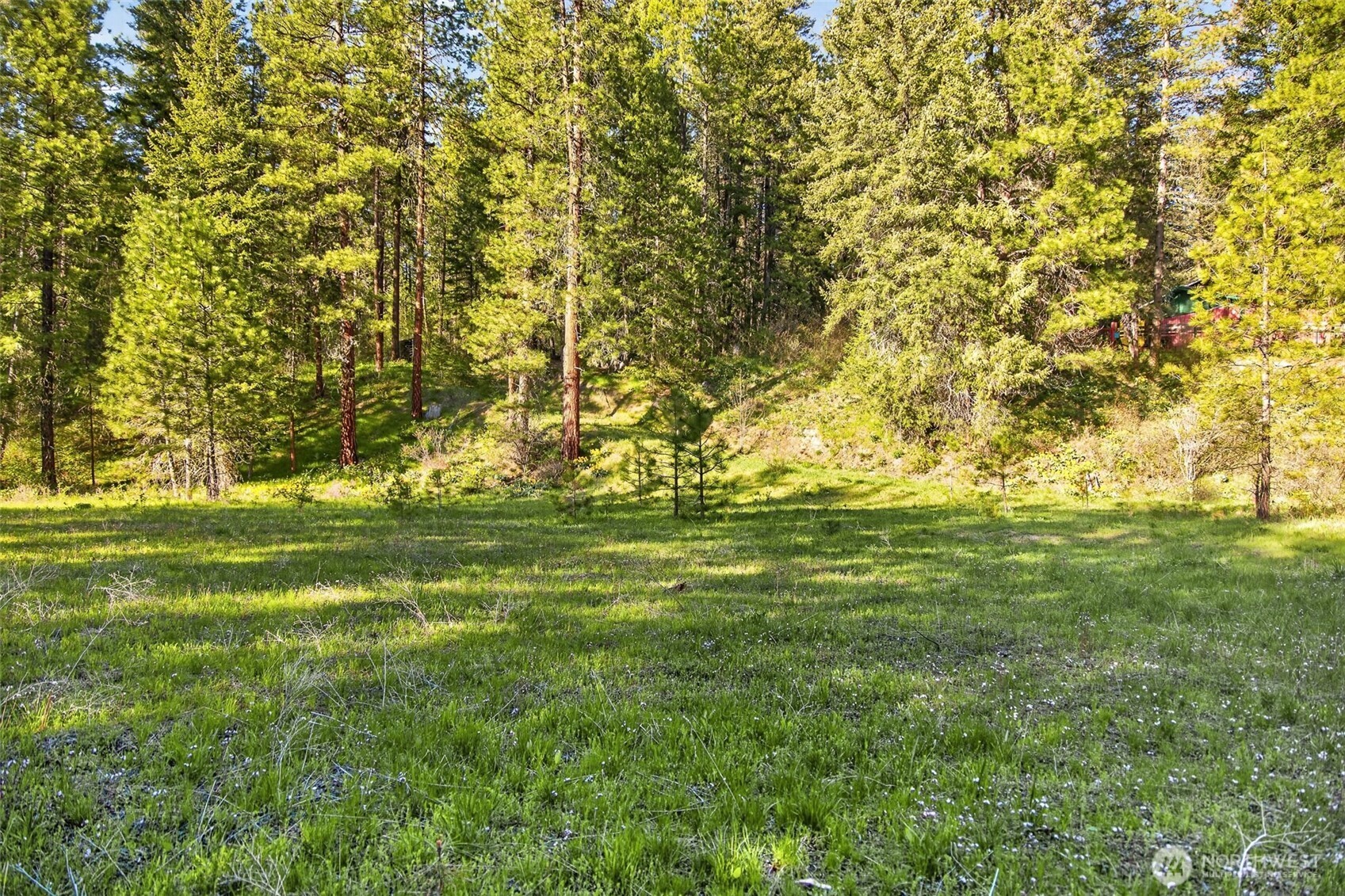 15906 River Road Property Photo 7