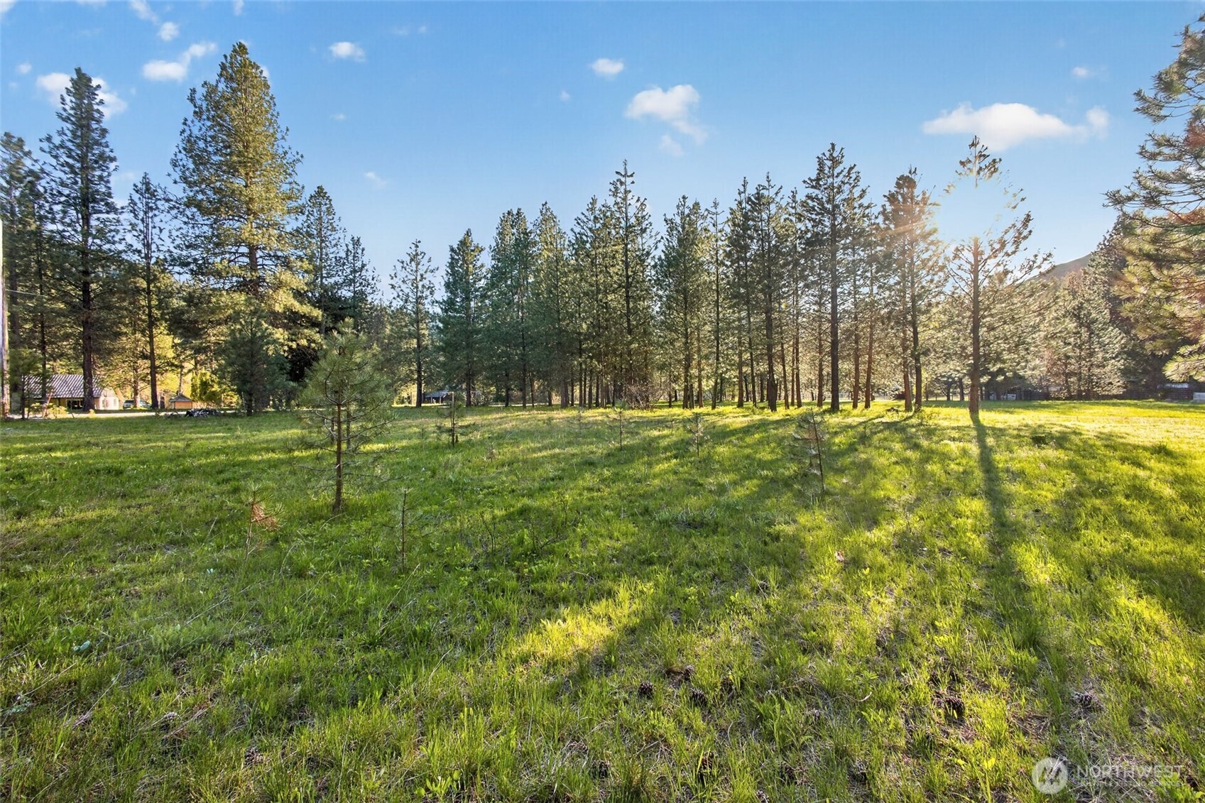 15906 River Road Property Photo 8