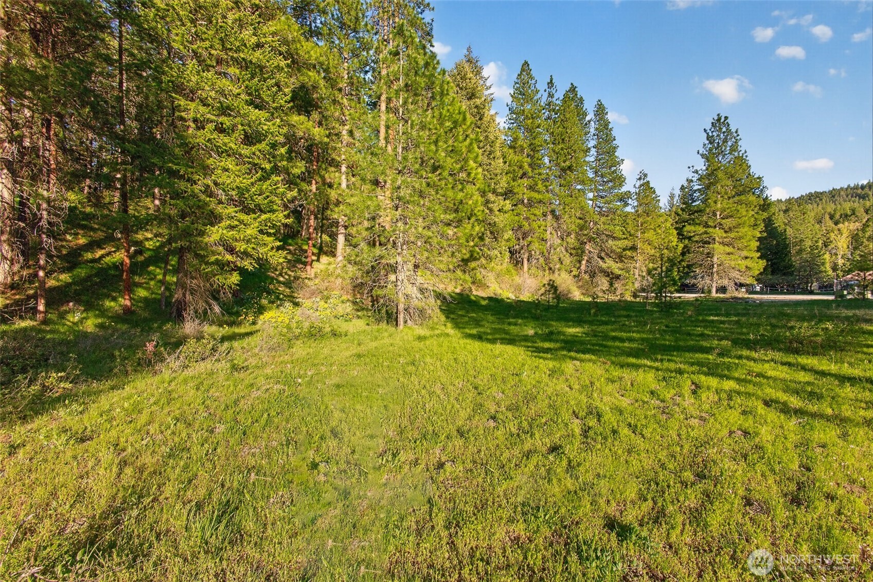 15906 River Road Property Photo 9