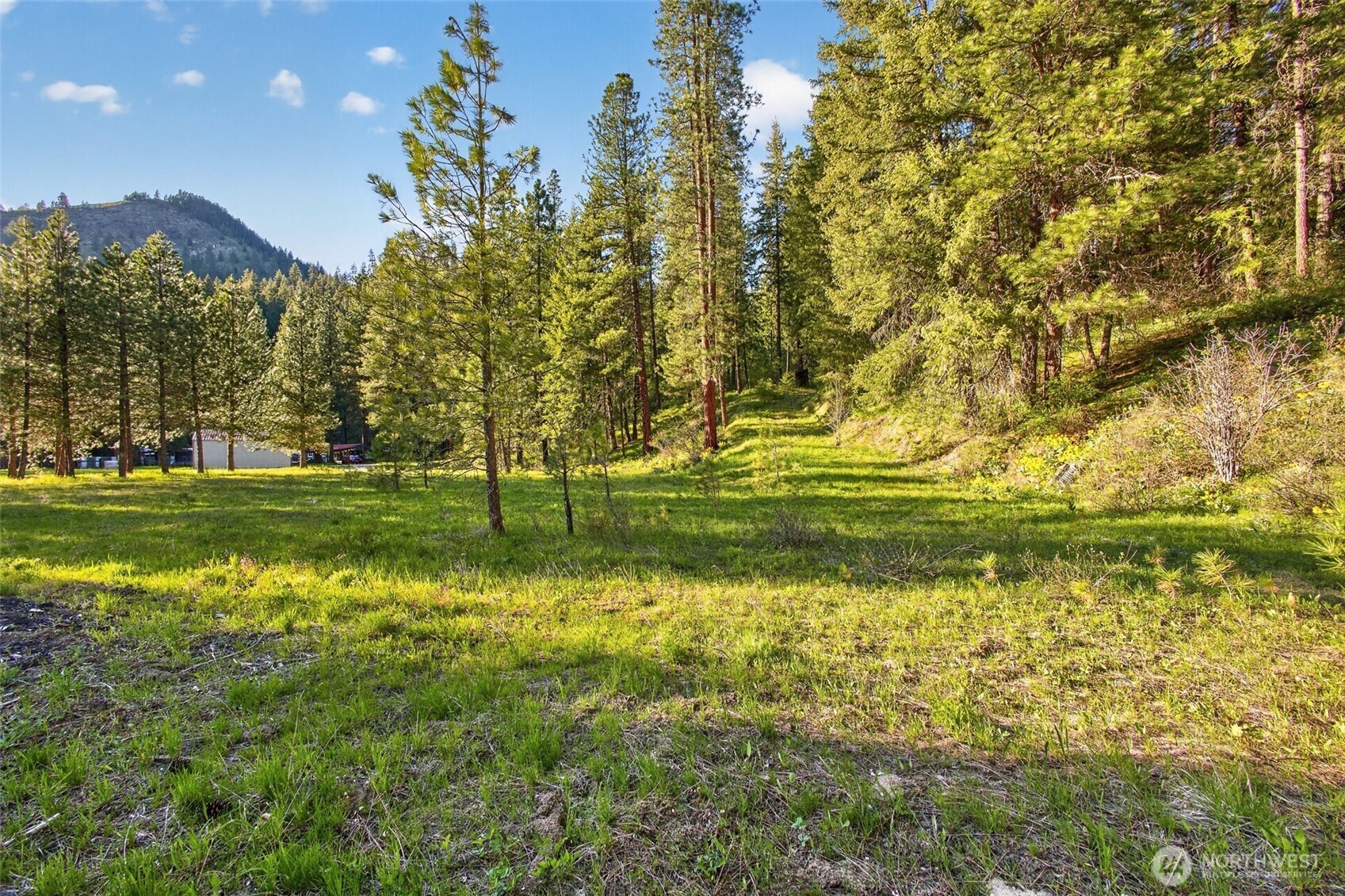 15906 River Road Property Photo 10