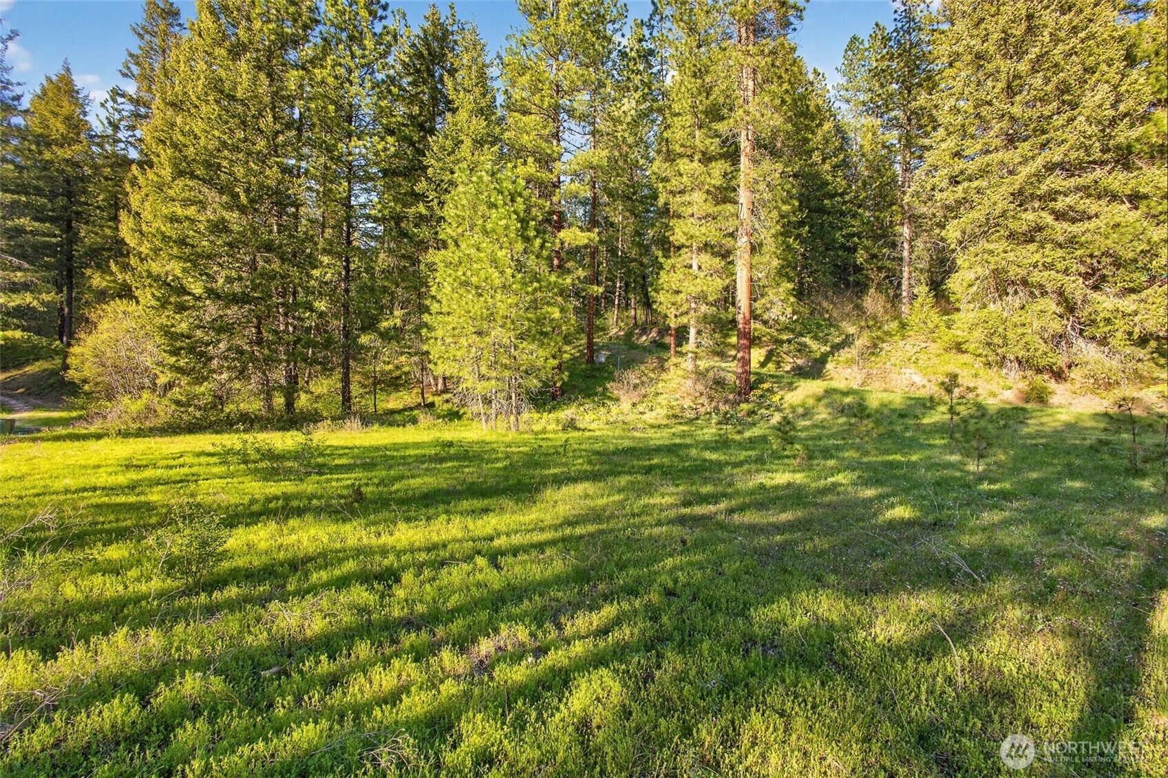15906 River Road Property Photo 11