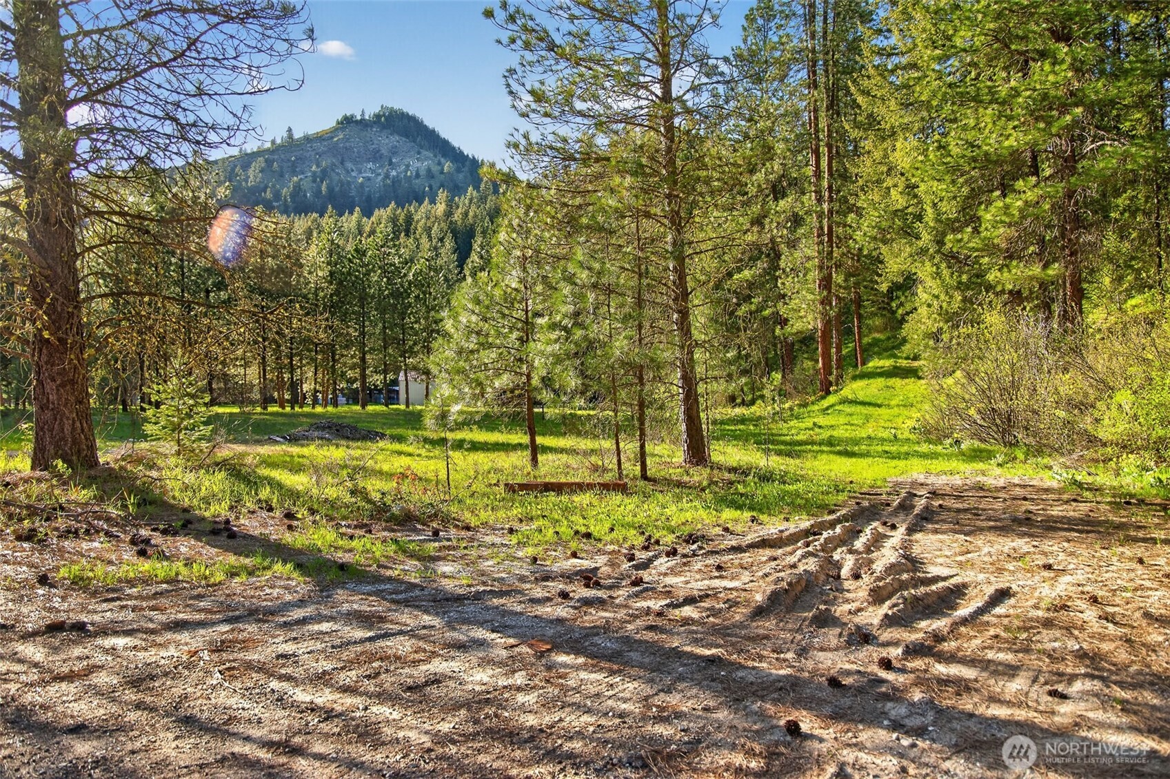 15906 River Road Property Photo 12