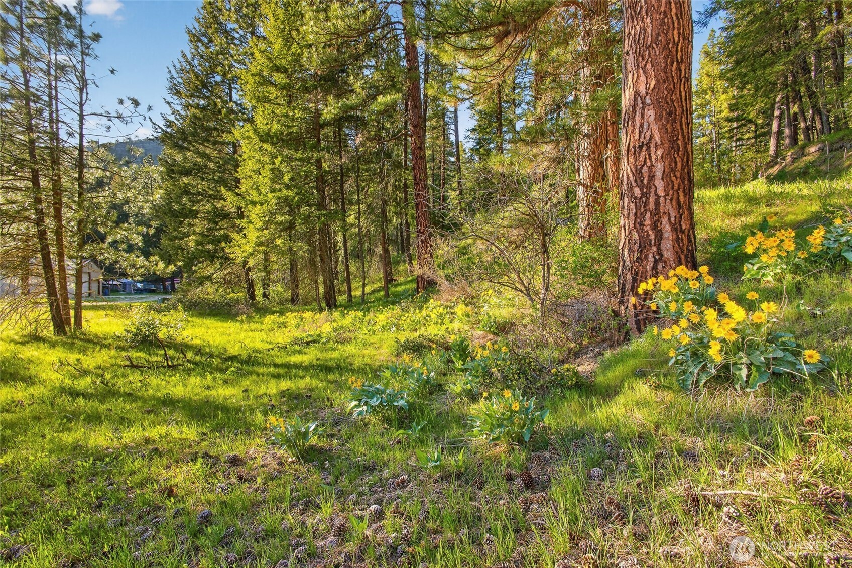 15906 River Road Property Photo 14