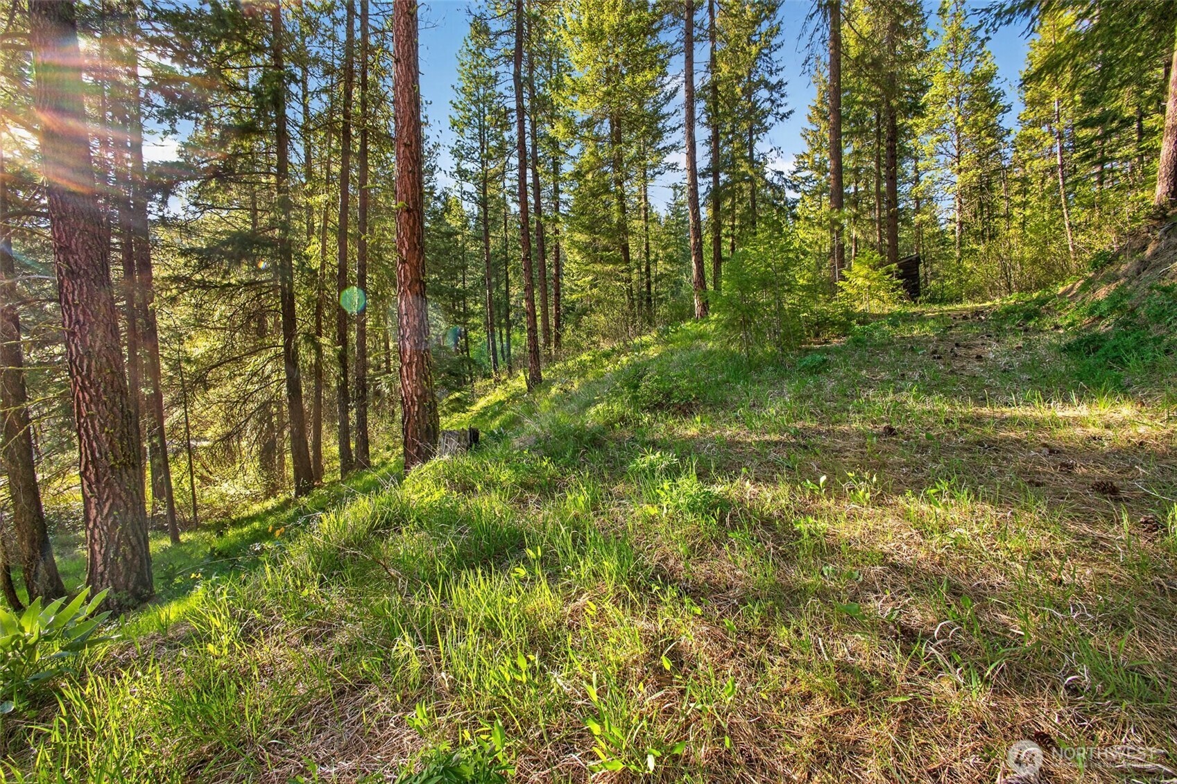 15906 River Road Property Photo 17