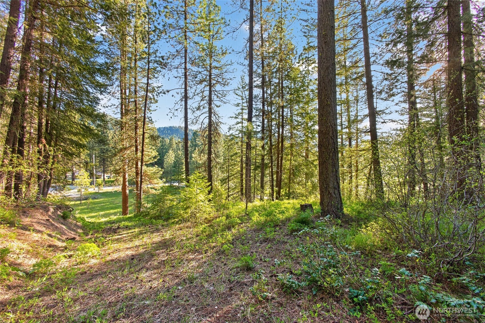 15906 River Road Property Photo 18
