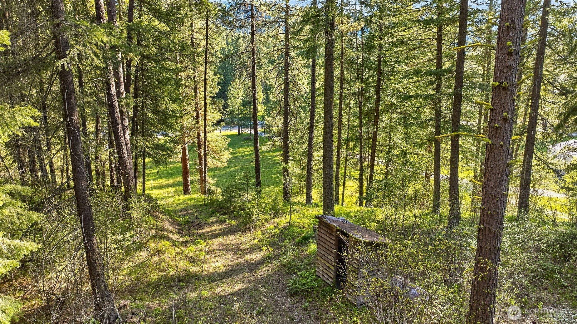 15906 River Road Property Photo 19
