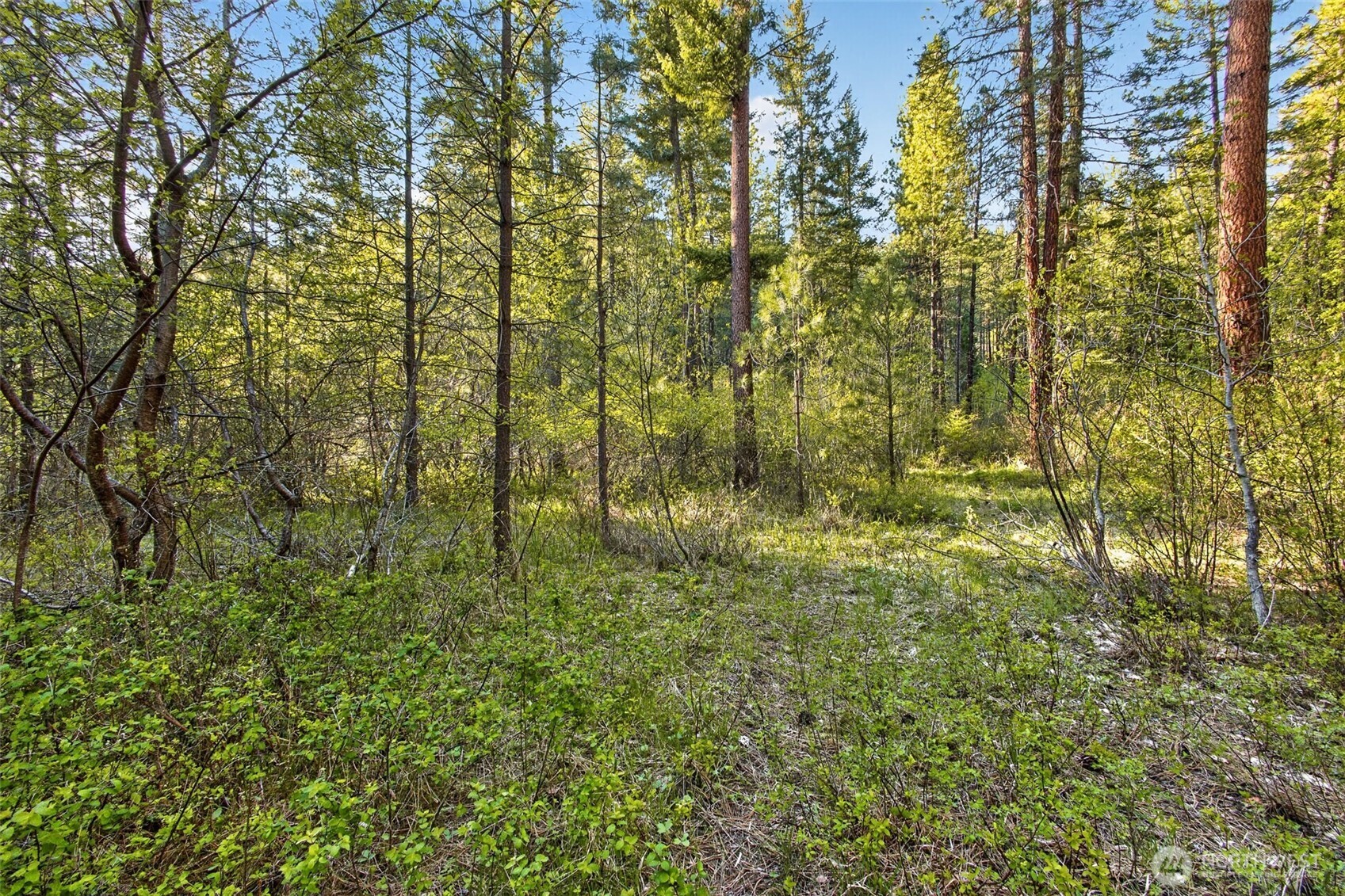 15906 River Road Property Photo 20