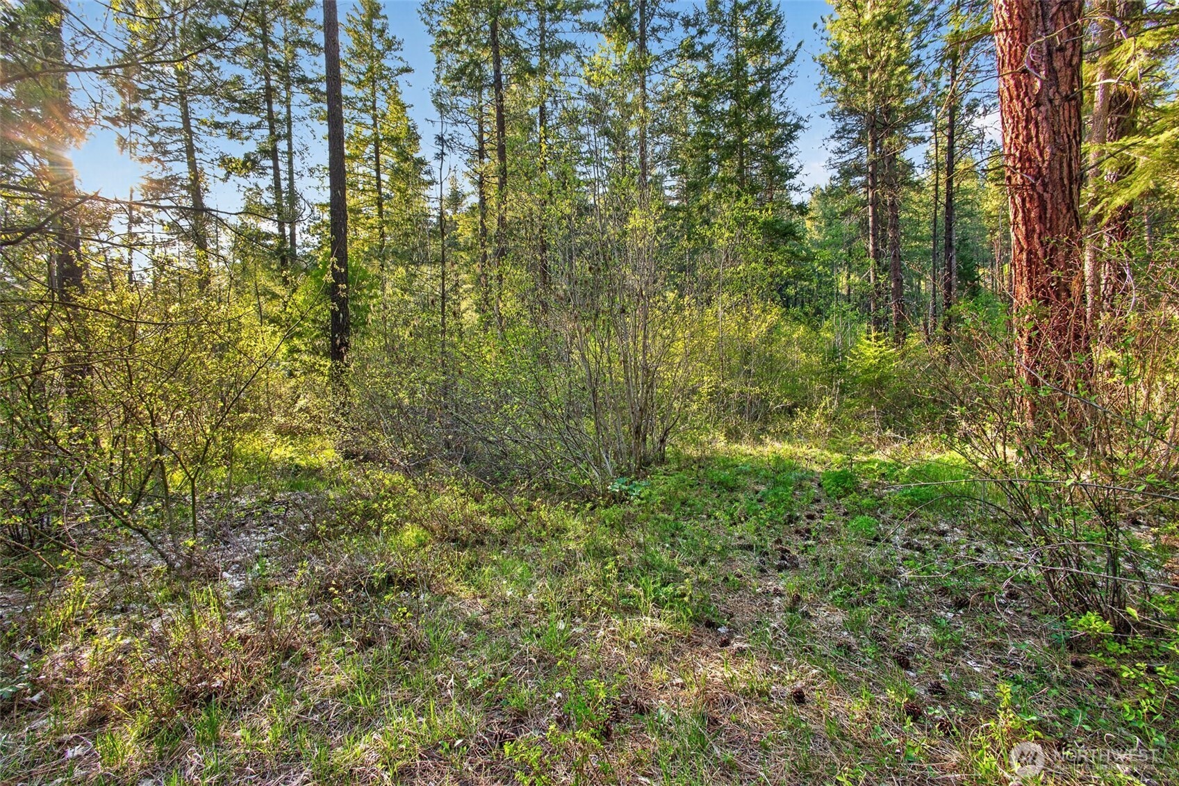 15906 River Road Property Photo 21