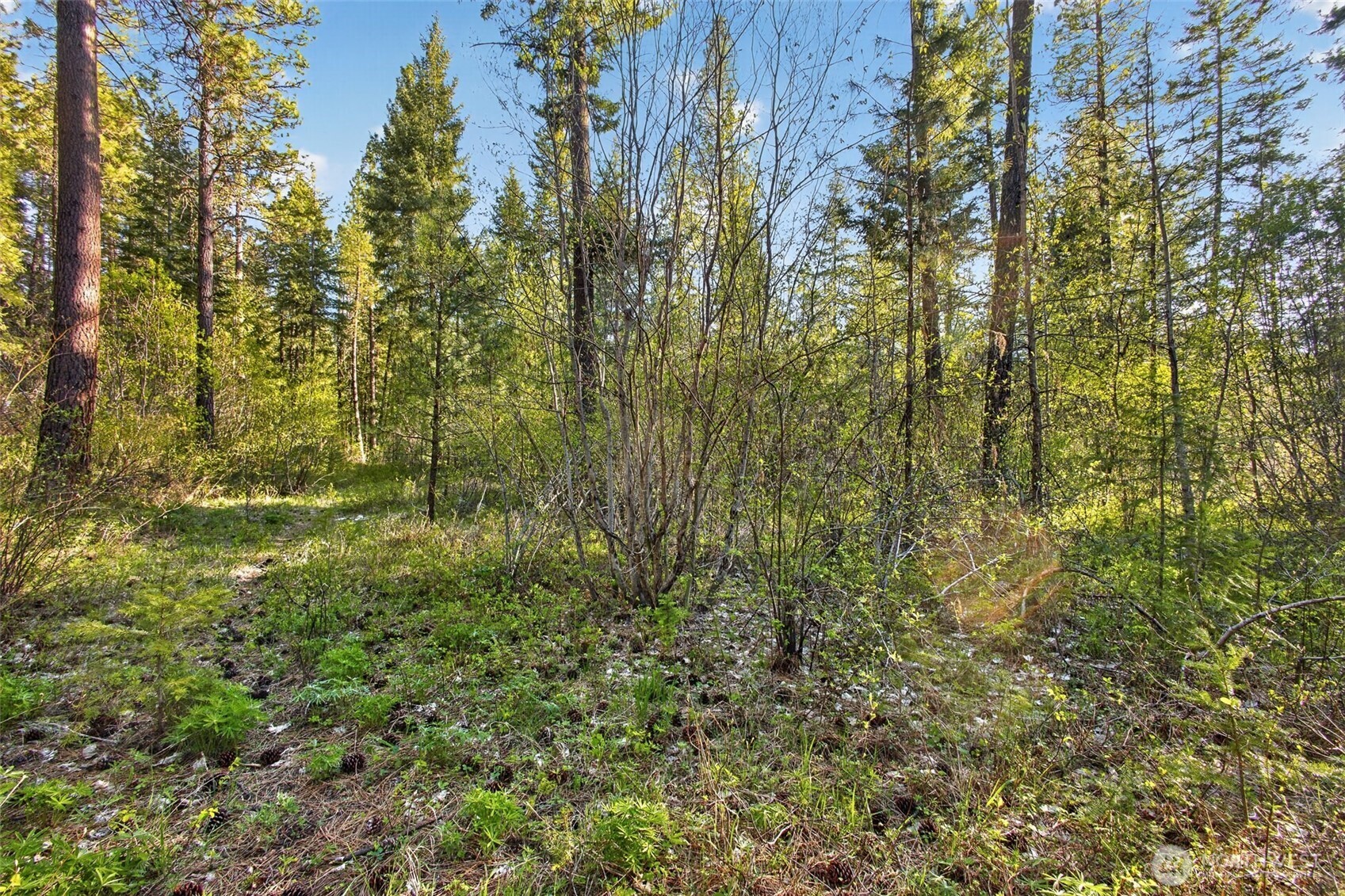 15906 River Road Property Photo 22