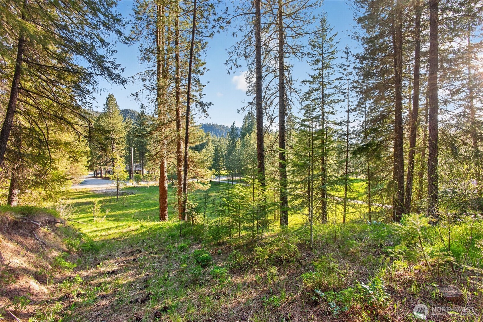 15906 River Road Property Photo 23