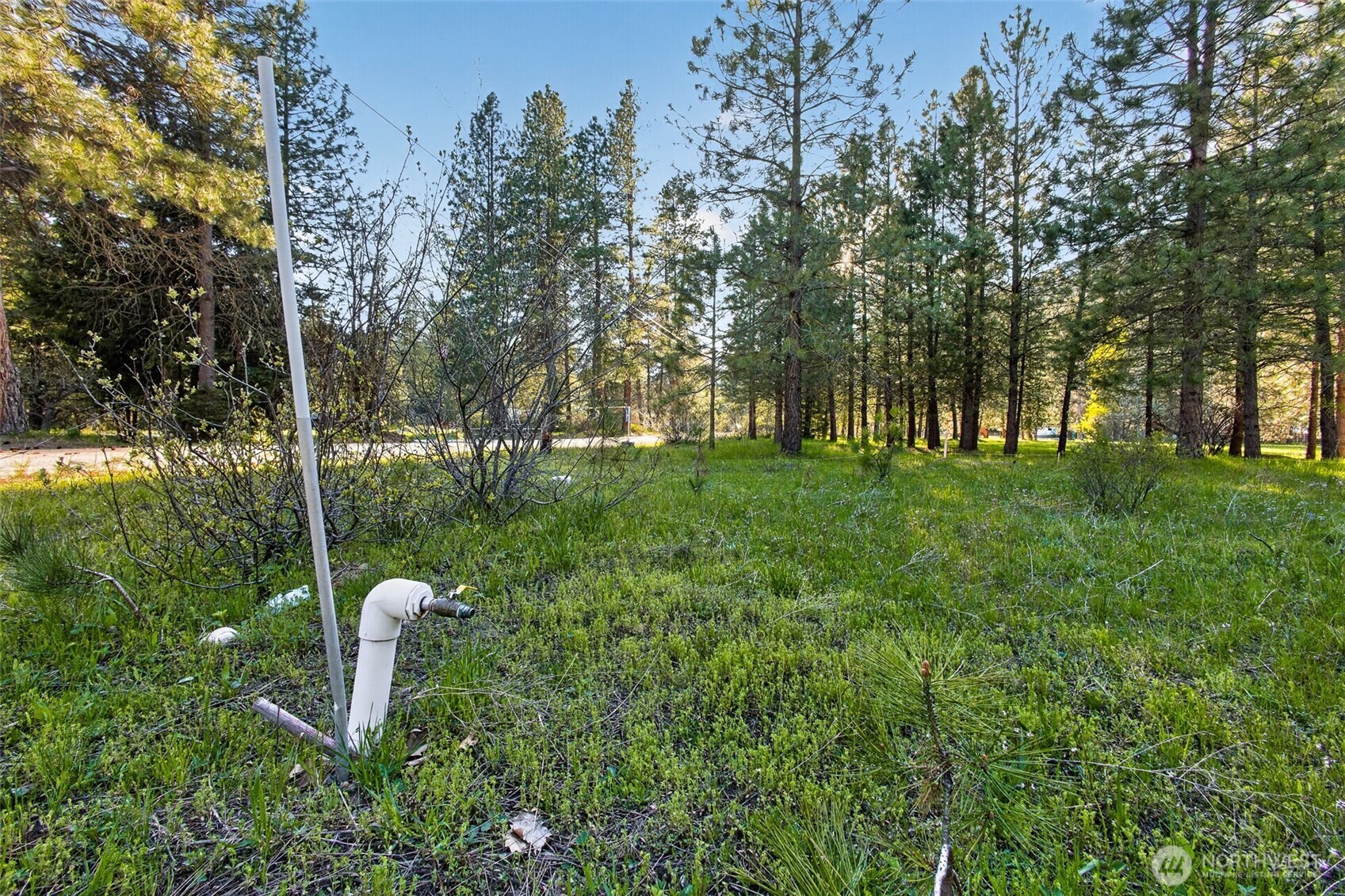 15906 River Road Property Photo 28