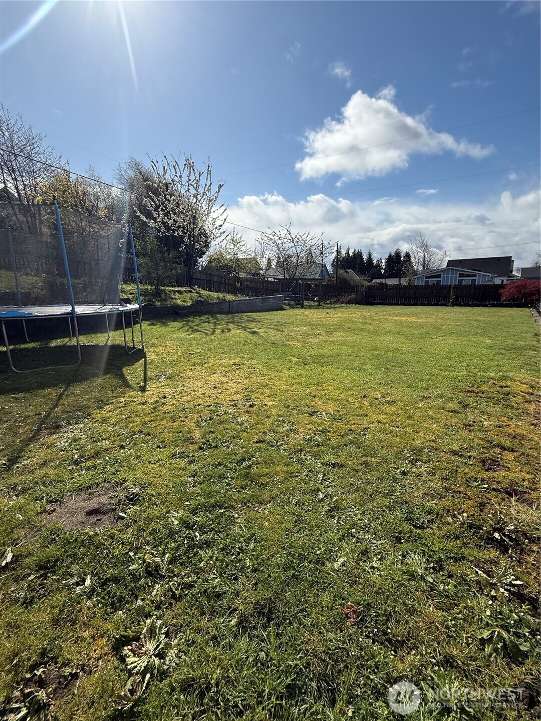 1919 Riddell Street Property Photo 19