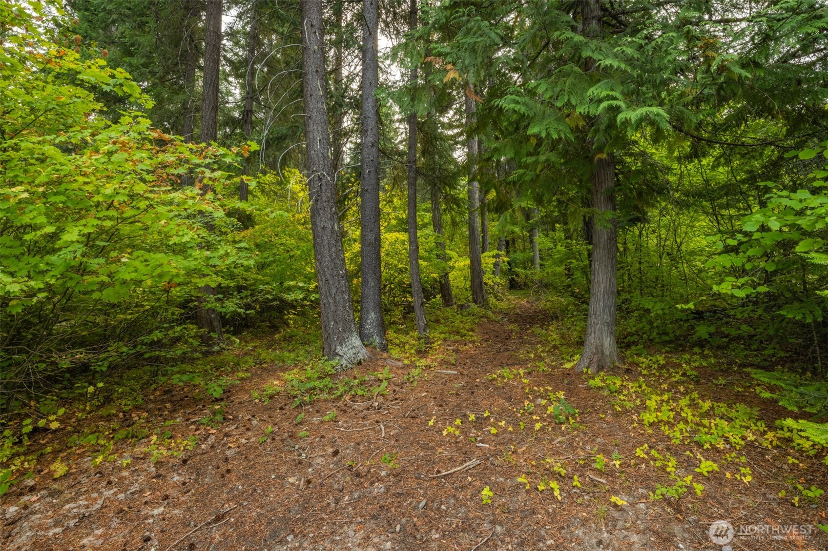 1850 Timber Mountain Loop Property Photo 18
