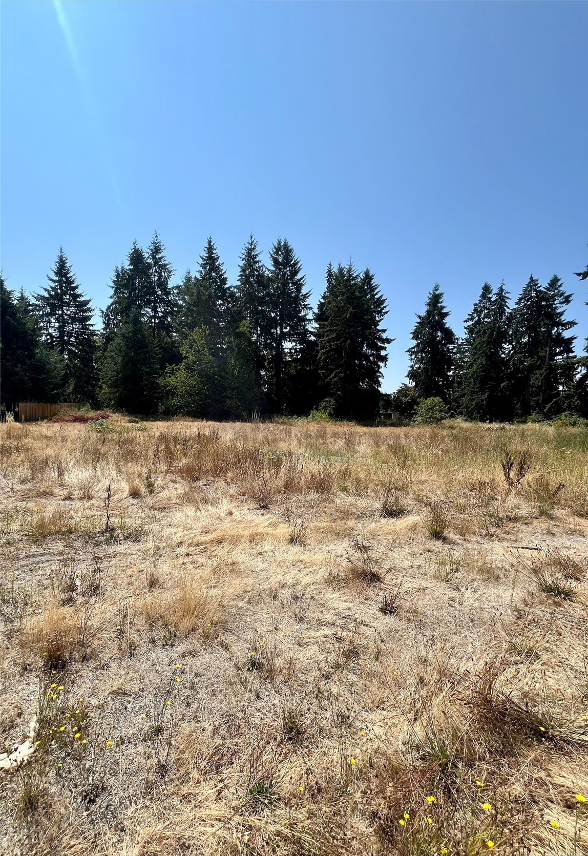 9019 173rd Avenue Property Photo 6