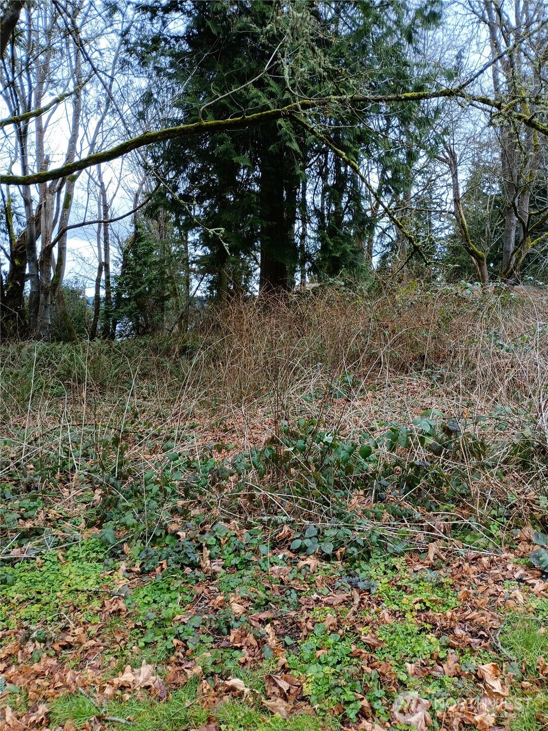 111 M Crest Place Property Photo 2