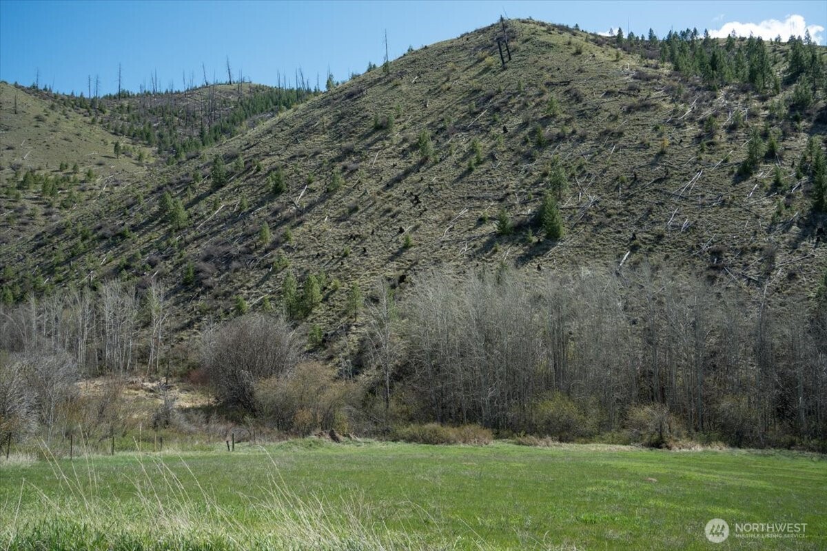 0 Bisping Canyon Road Property Photo 17