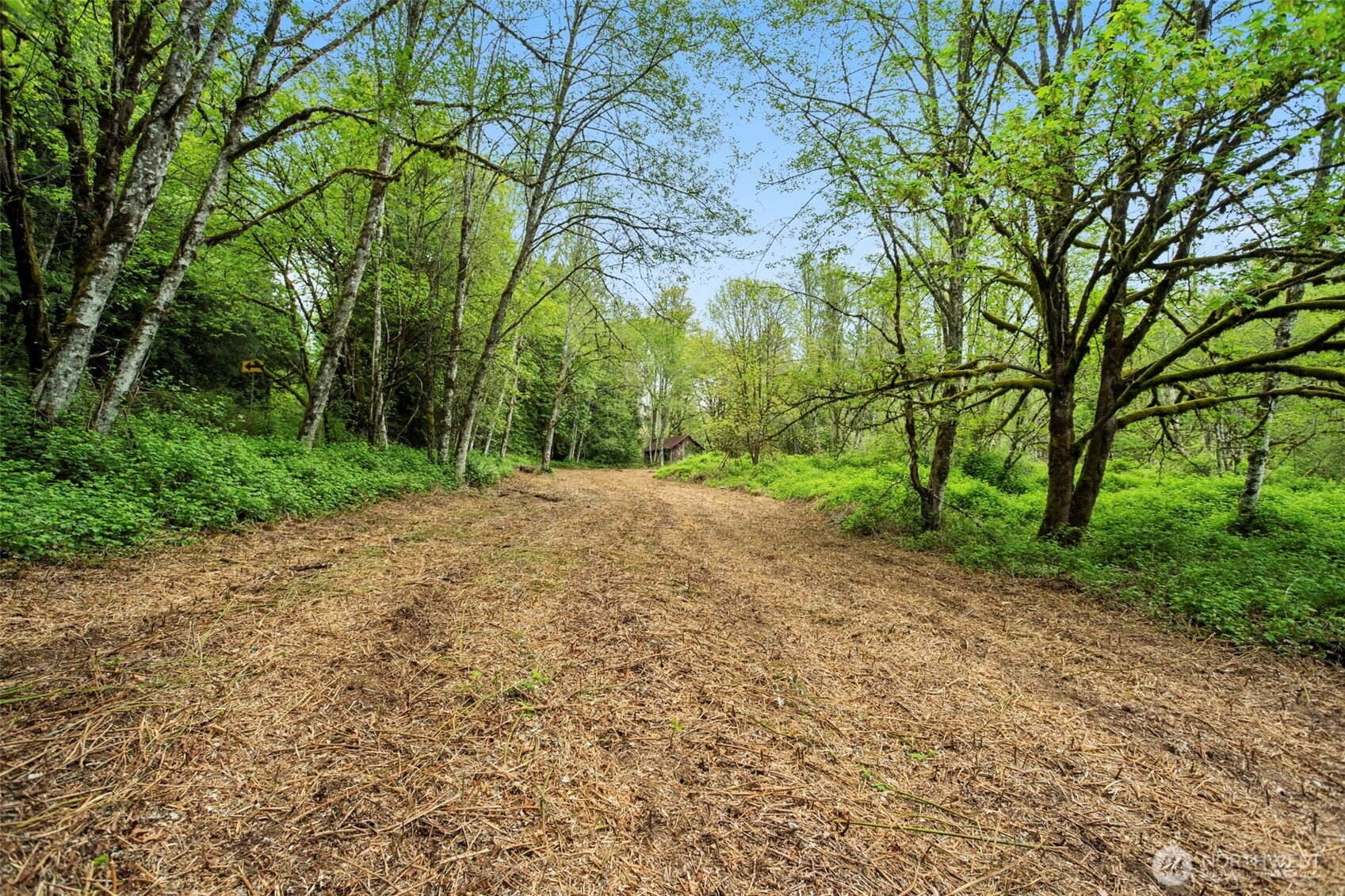 2 Ne Lewisville Highway Property Photo 3