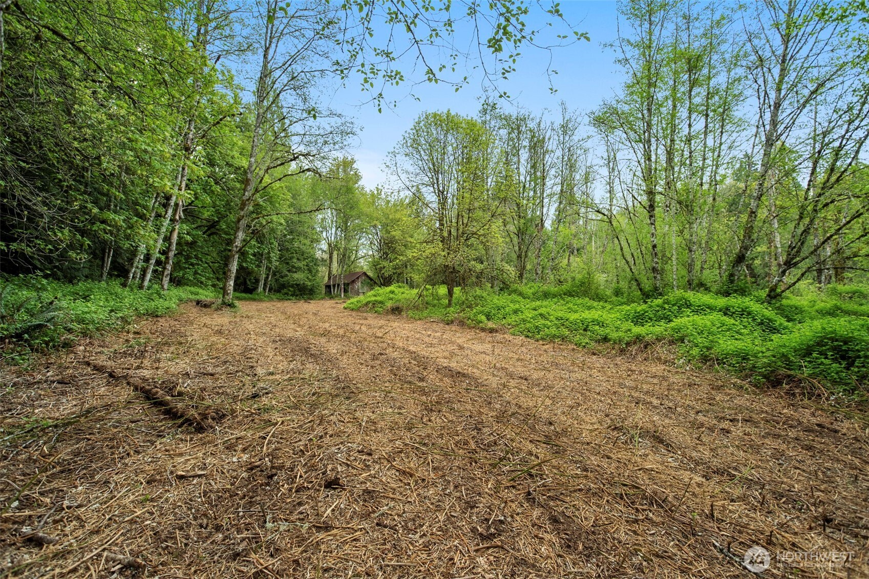 2 Ne Lewisville Highway Property Photo 4