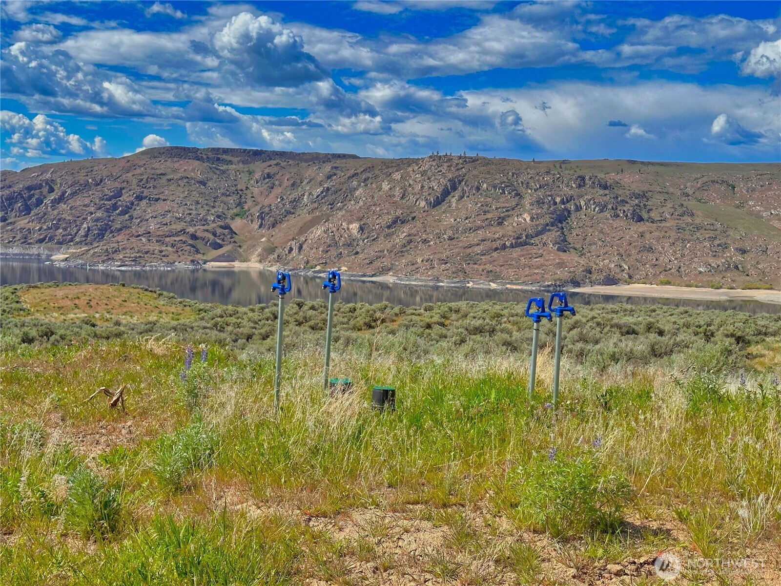 46230 Arrowleaf Canyon Drive Property Photo 6