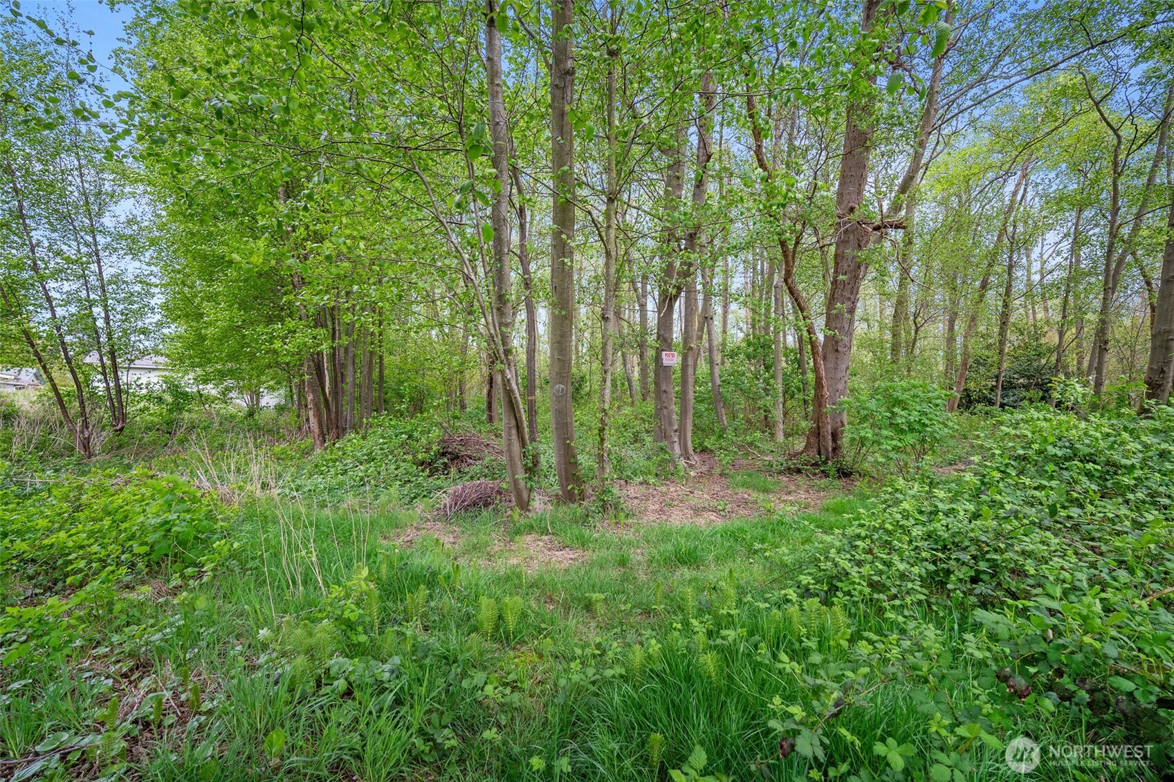 4872 Bay Road Property Photo 9