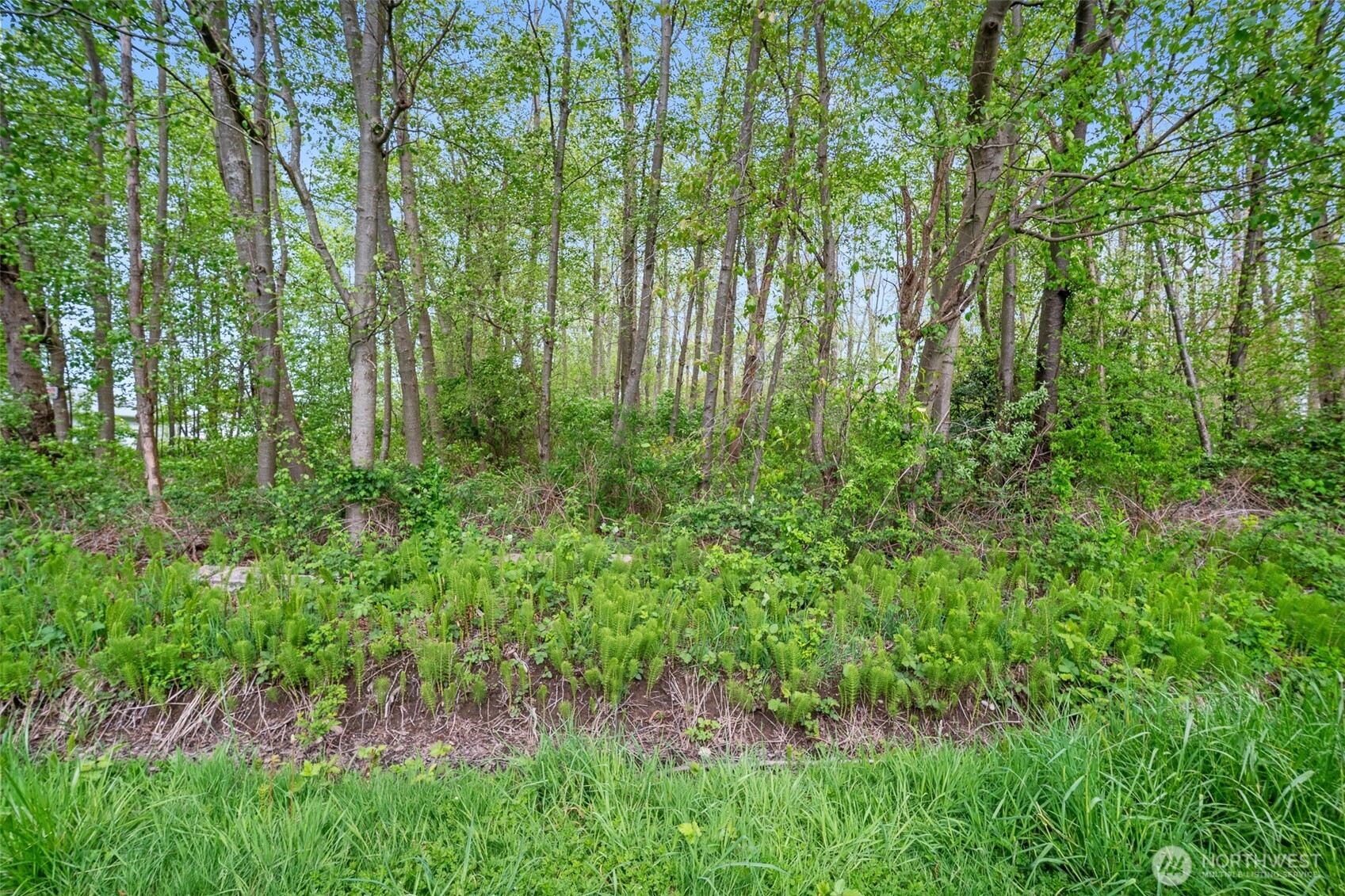 4884 Bay Road Property Photo 12