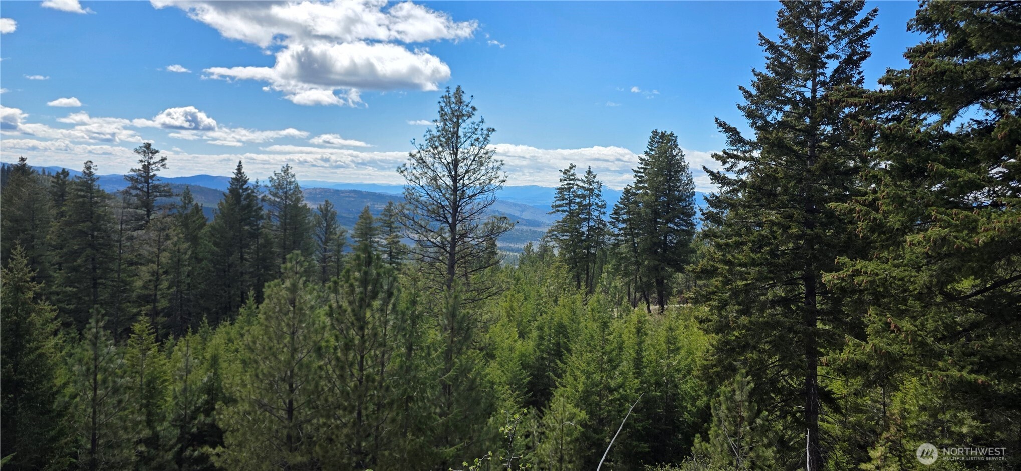 1112 Tbd Bandtman Creek Rd Property Photo 1