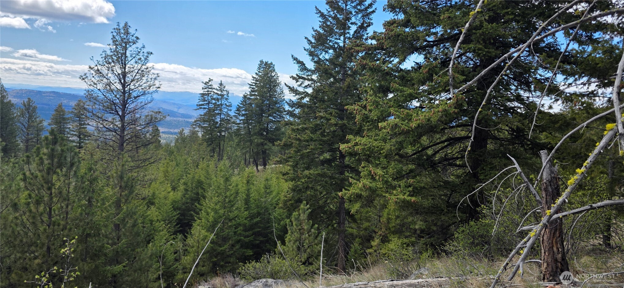 1112 Tbd Bandtman Creek Rd Property Photo 15