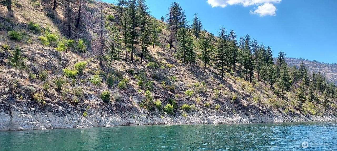 0 Lot 9 Omak Lake Road Property Photo 5