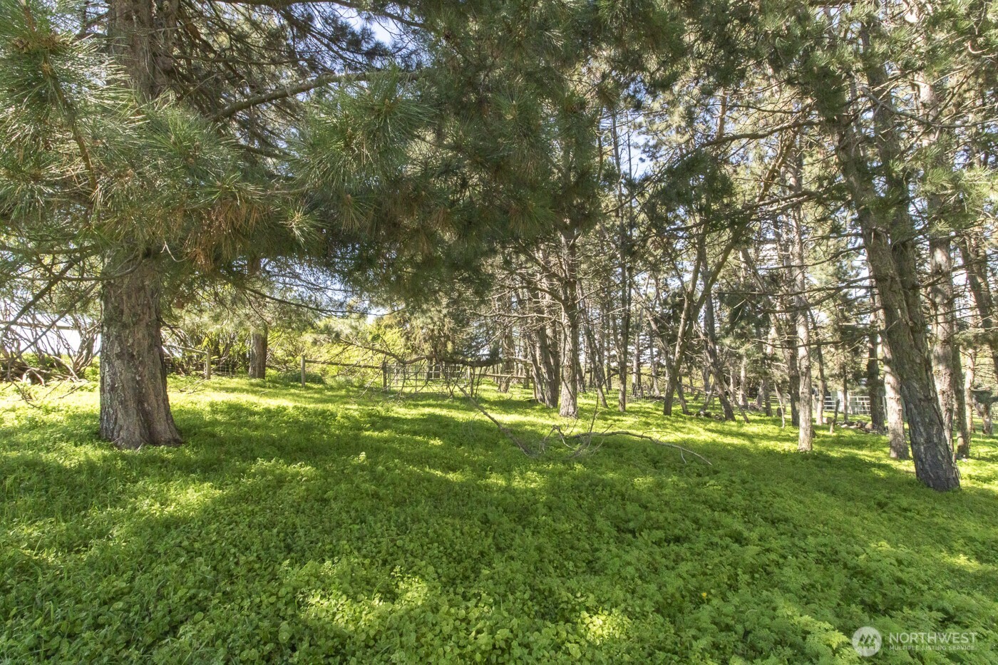 3001 Pullman Albion Road Property Photo 33