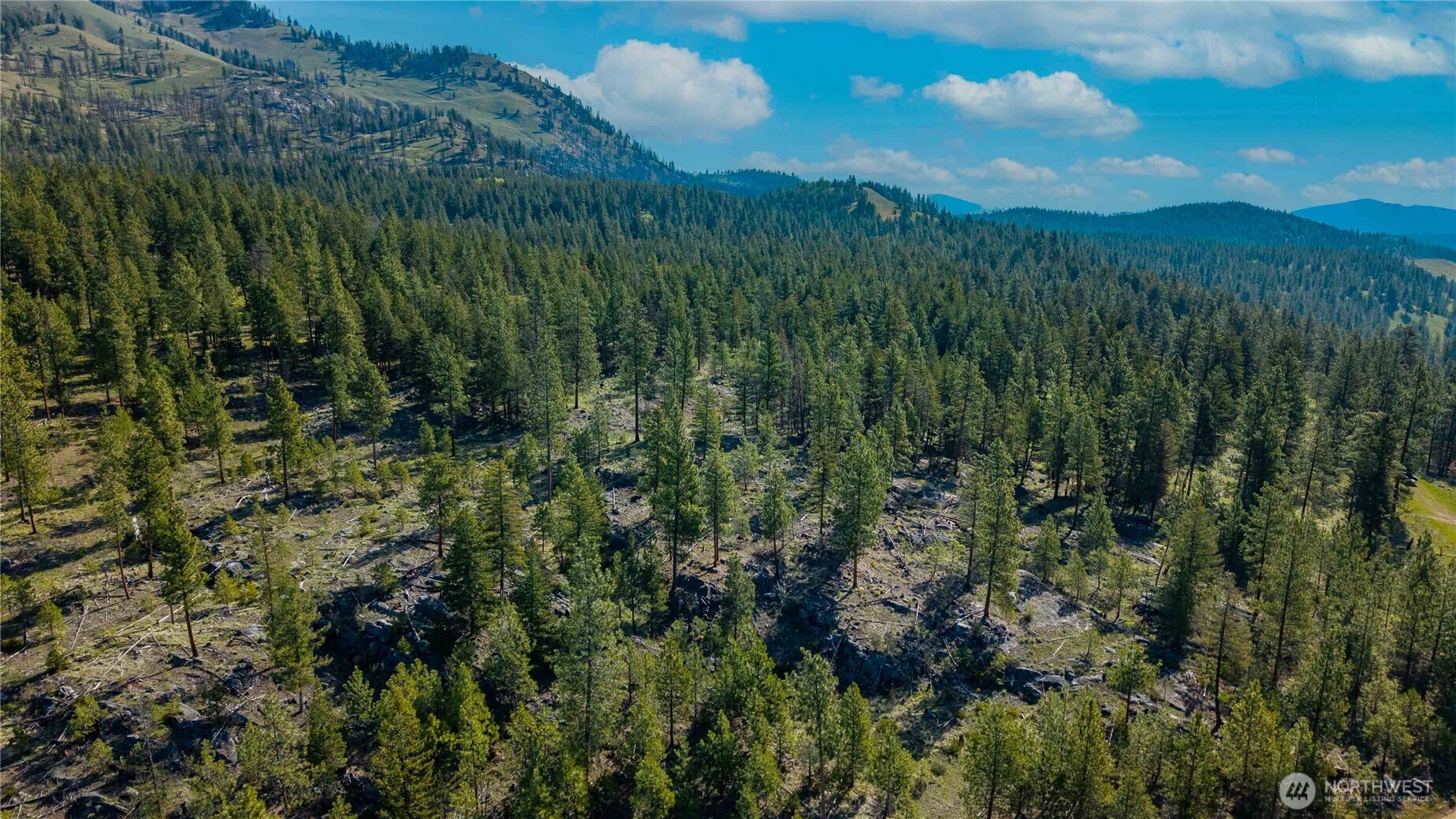 0 Tbd Mineral Hill Road Property Photo 5