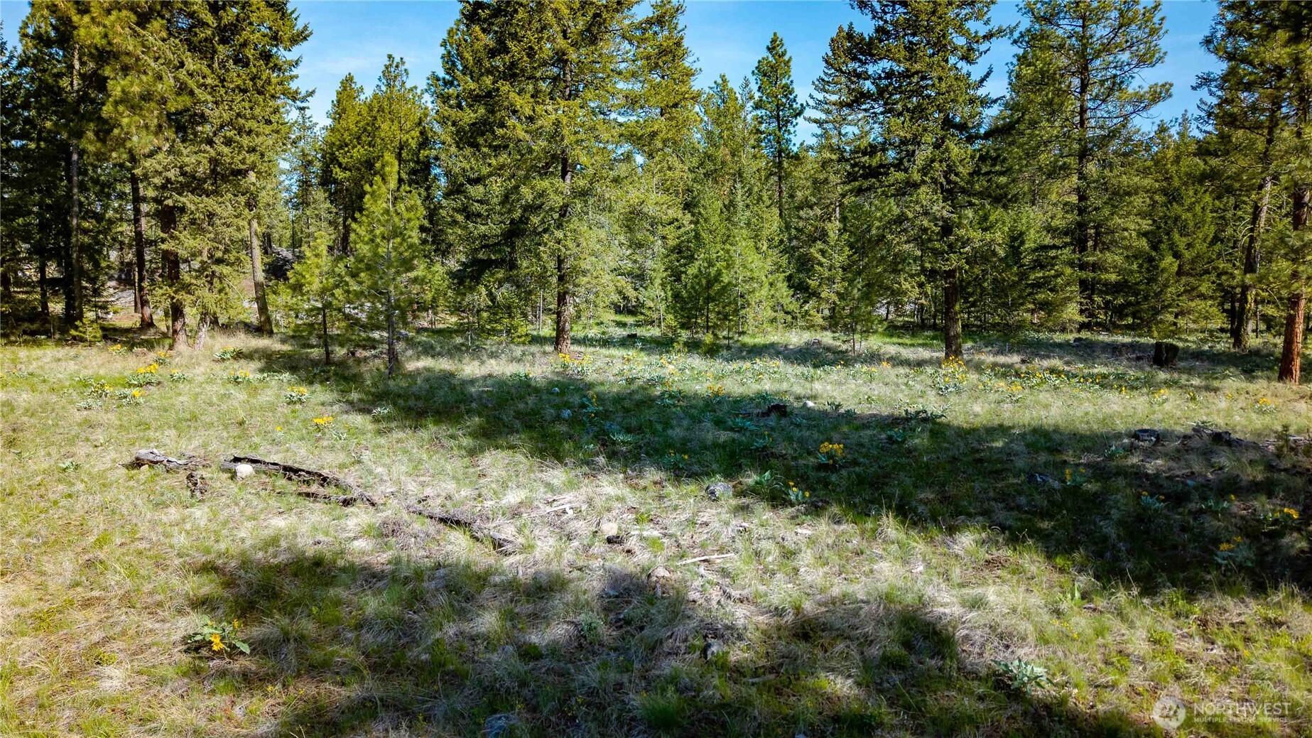 0 Tbd Mineral Hill Road Property Photo 13