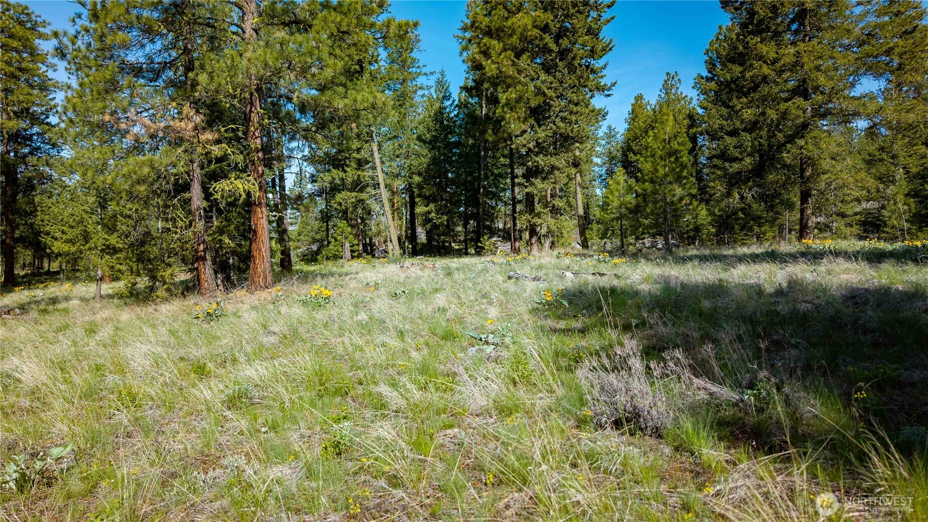 0 Tbd Mineral Hill Road Property Photo 14