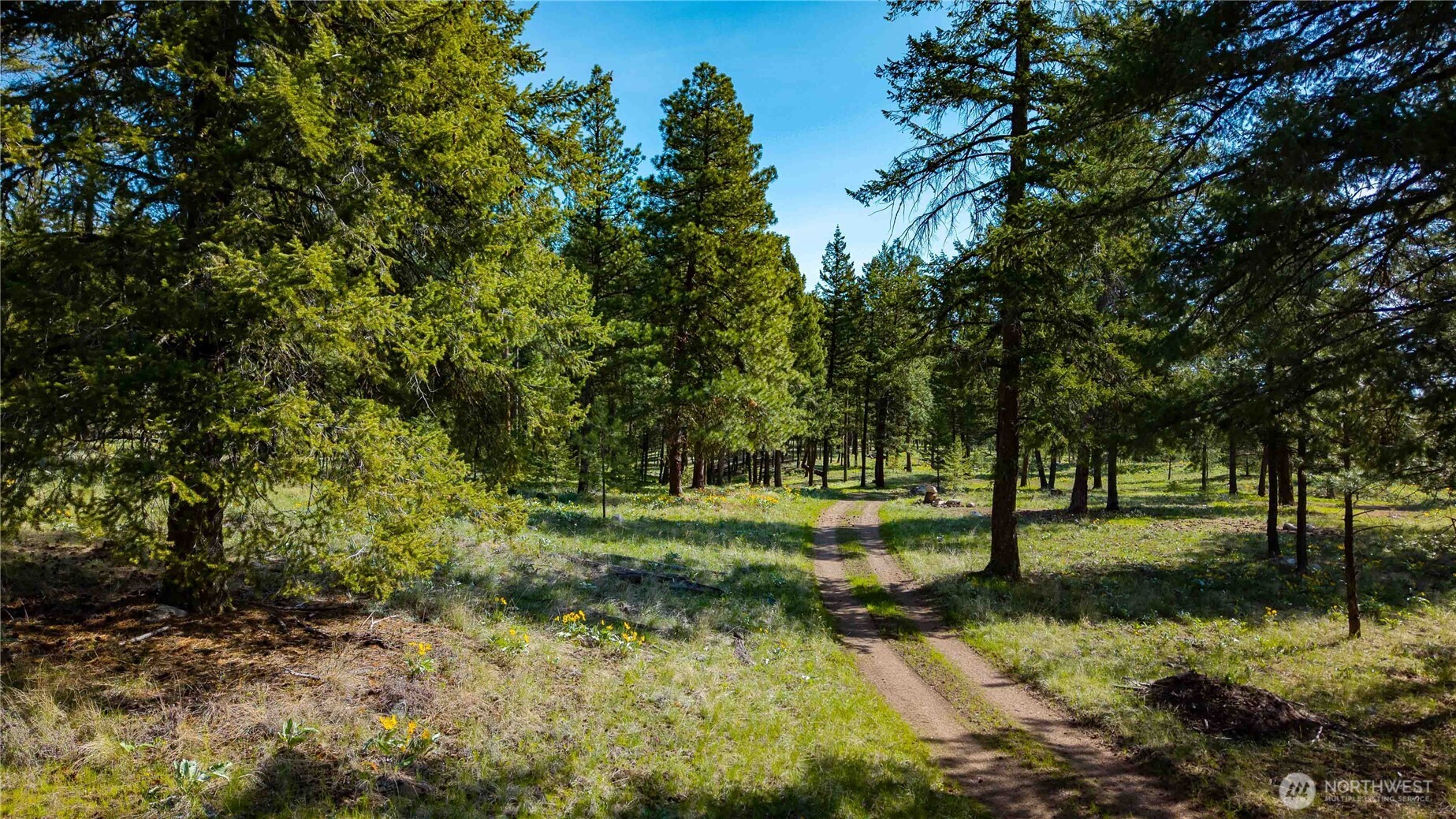 0 Tbd Mineral Hill Road Property Photo 15