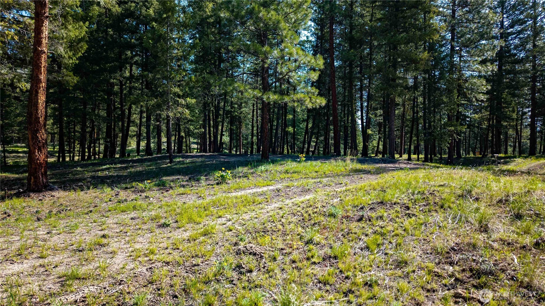 0 Tbd Mineral Hill Road Property Photo 17