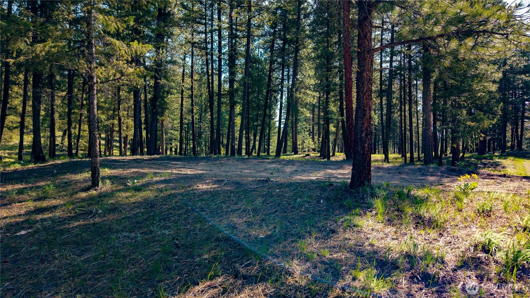 0 Tbd Mineral Hill Road Property Photo 19