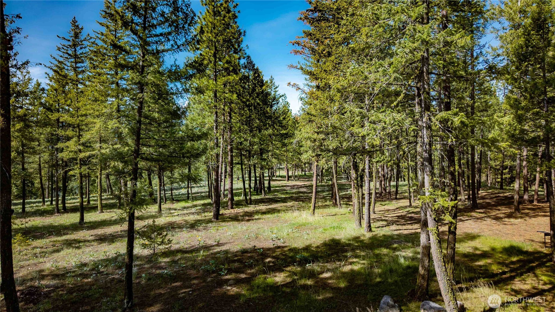 0 Tbd Mineral Hill Road Property Photo 22