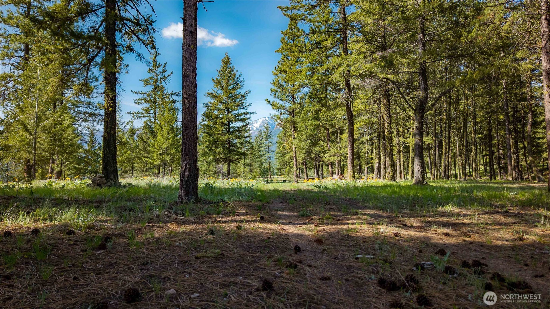 0 Tbd Mineral Hill Road Property Photo 26