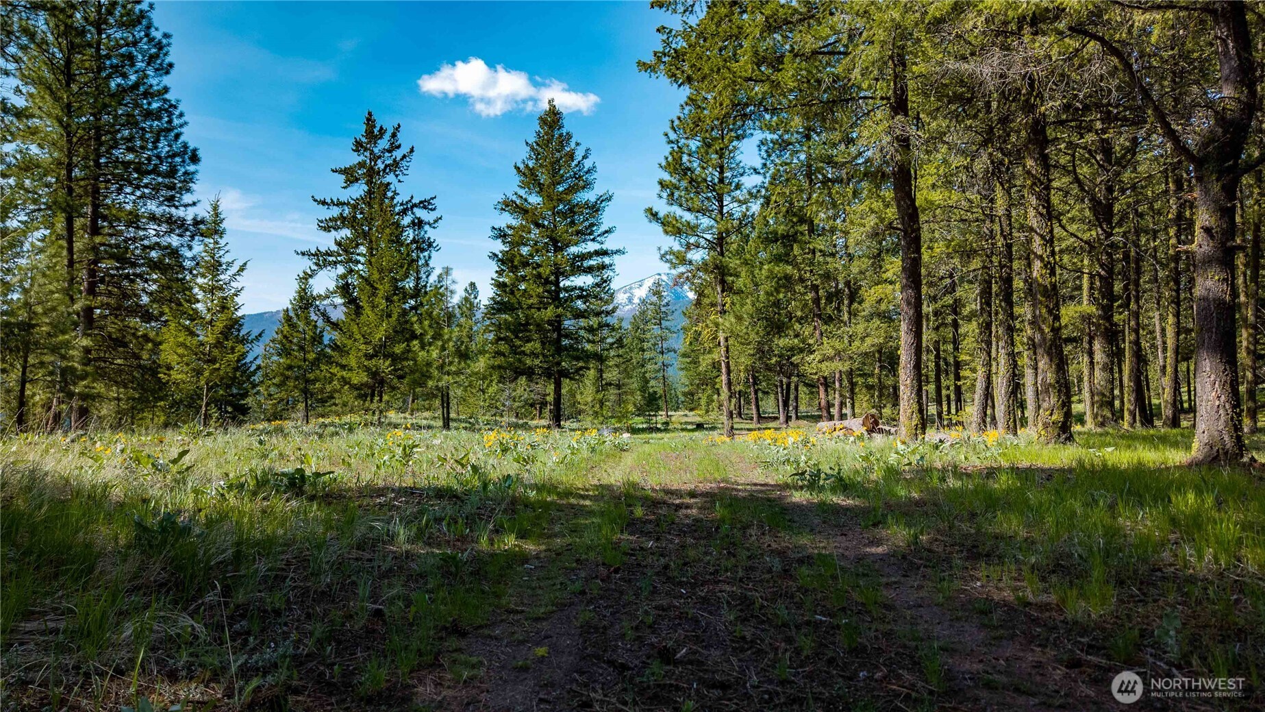 0 Tbd Mineral Hill Road Property Photo 27