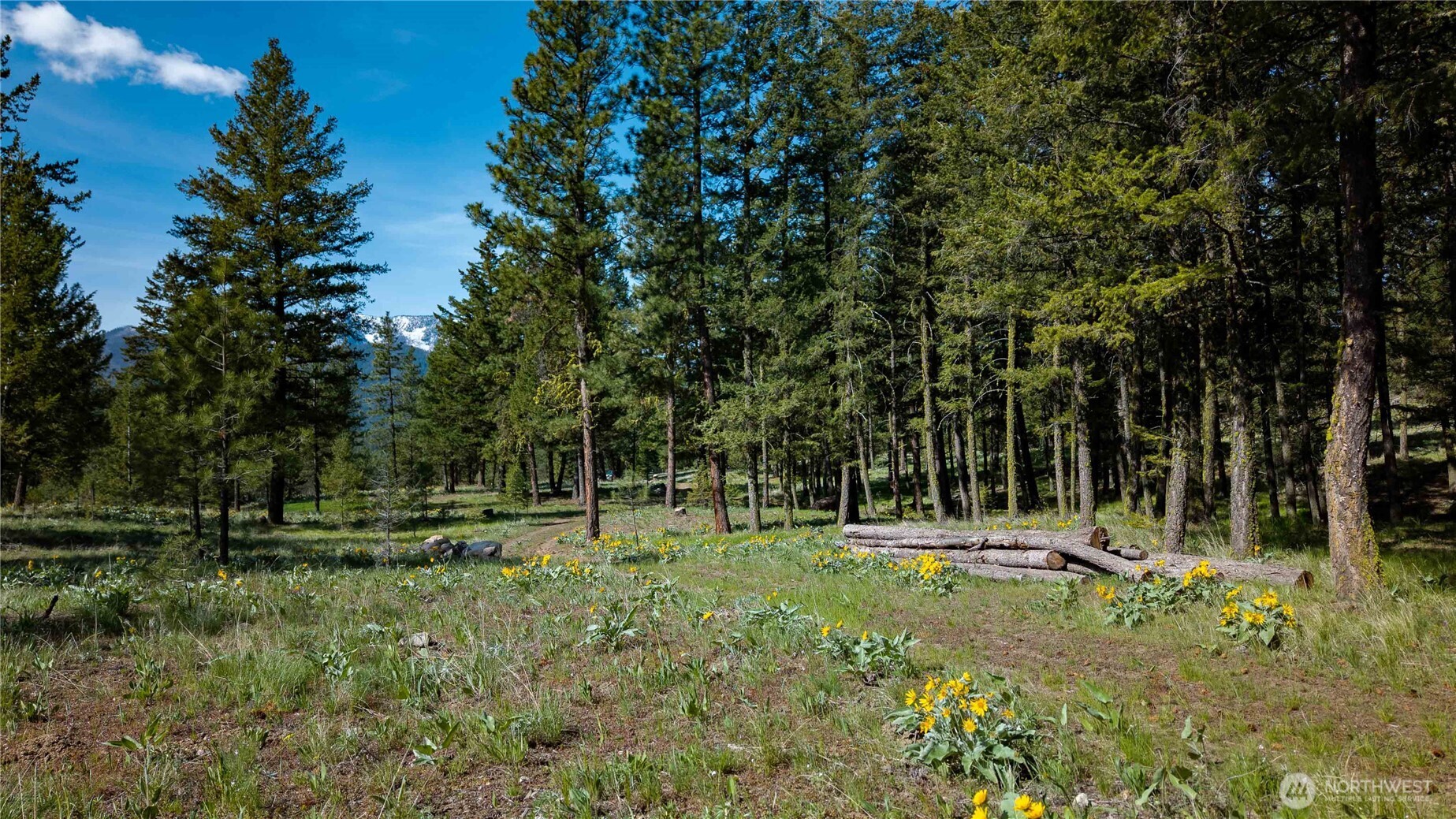0 Tbd Mineral Hill Road Property Photo 28