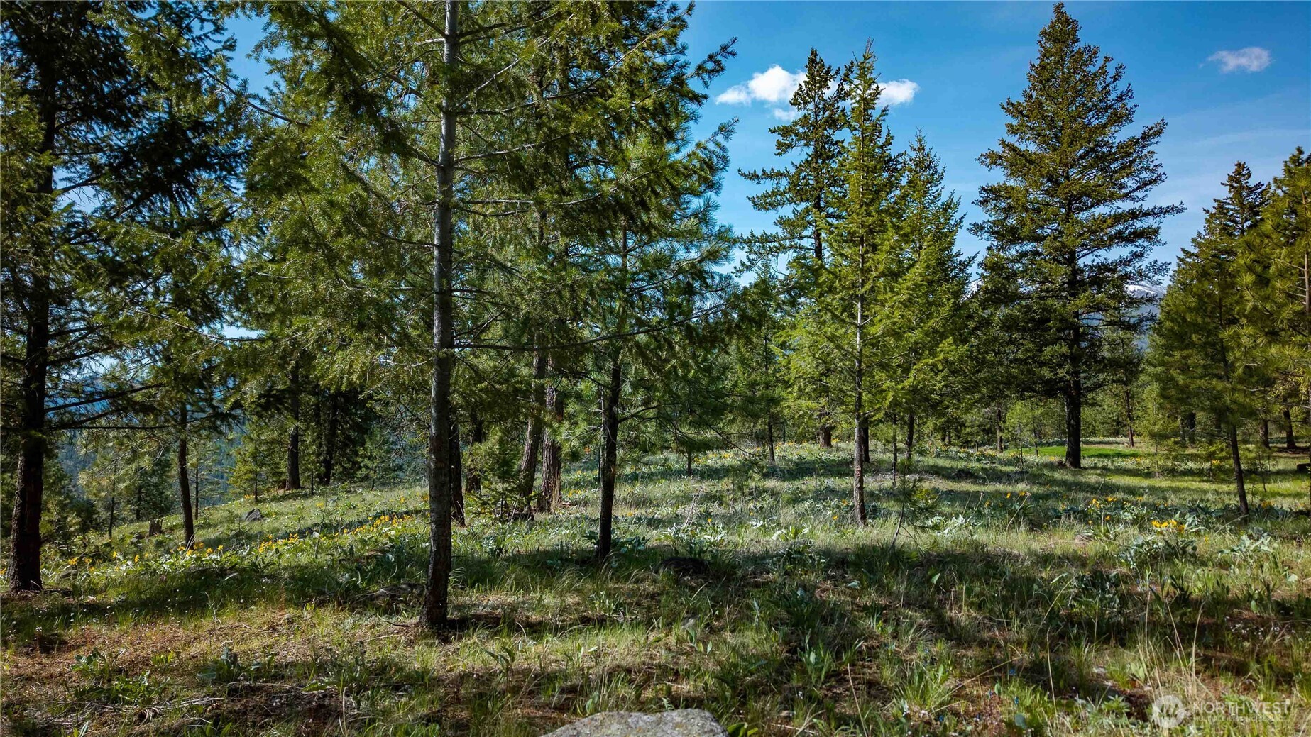 0 Tbd Mineral Hill Road Property Photo 29