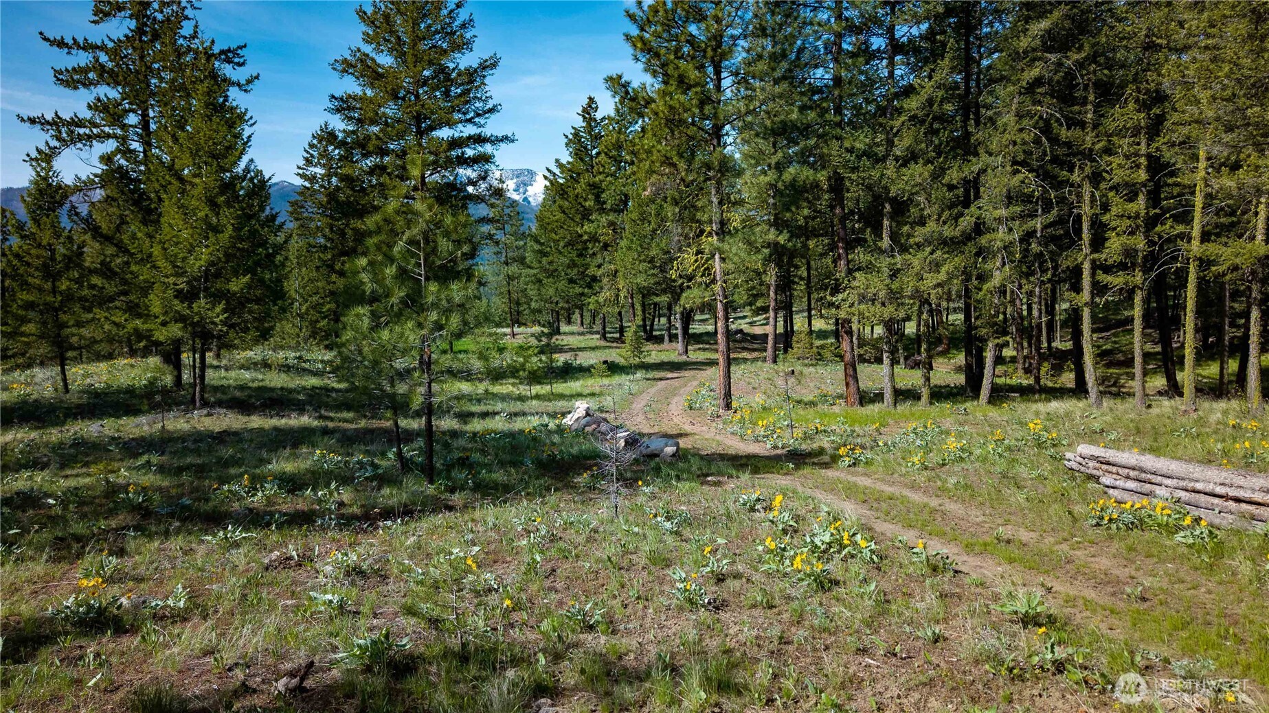 0 Tbd Mineral Hill Road Property Photo 30